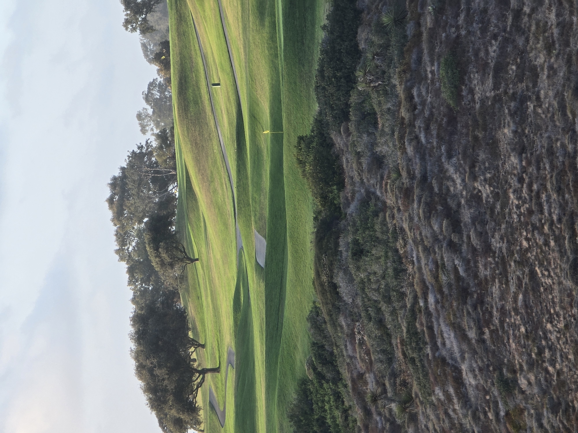This is a vertical, medium-shot, exterior photograph of a golf course, likely located in the rolling hills of San Diego, California. The foreground features a rugged, dry hillside covered in sparse, gray-brown brush and a few sparse, spiky green plants. As the scene recedes, the landscape transitions to meticulously manicured green grass, forming undulating hills with curved cart paths winding through them. Several trees with dark green foliage and gnarled branches dot the upper parts of the golf course. A bright yellow flag on a pole marks a hole on one of the greens. The sky above is overcast with soft, pale clouds. There are no people or animals visible in the frame. The overall impression is one of natural beauty and recreational activity.