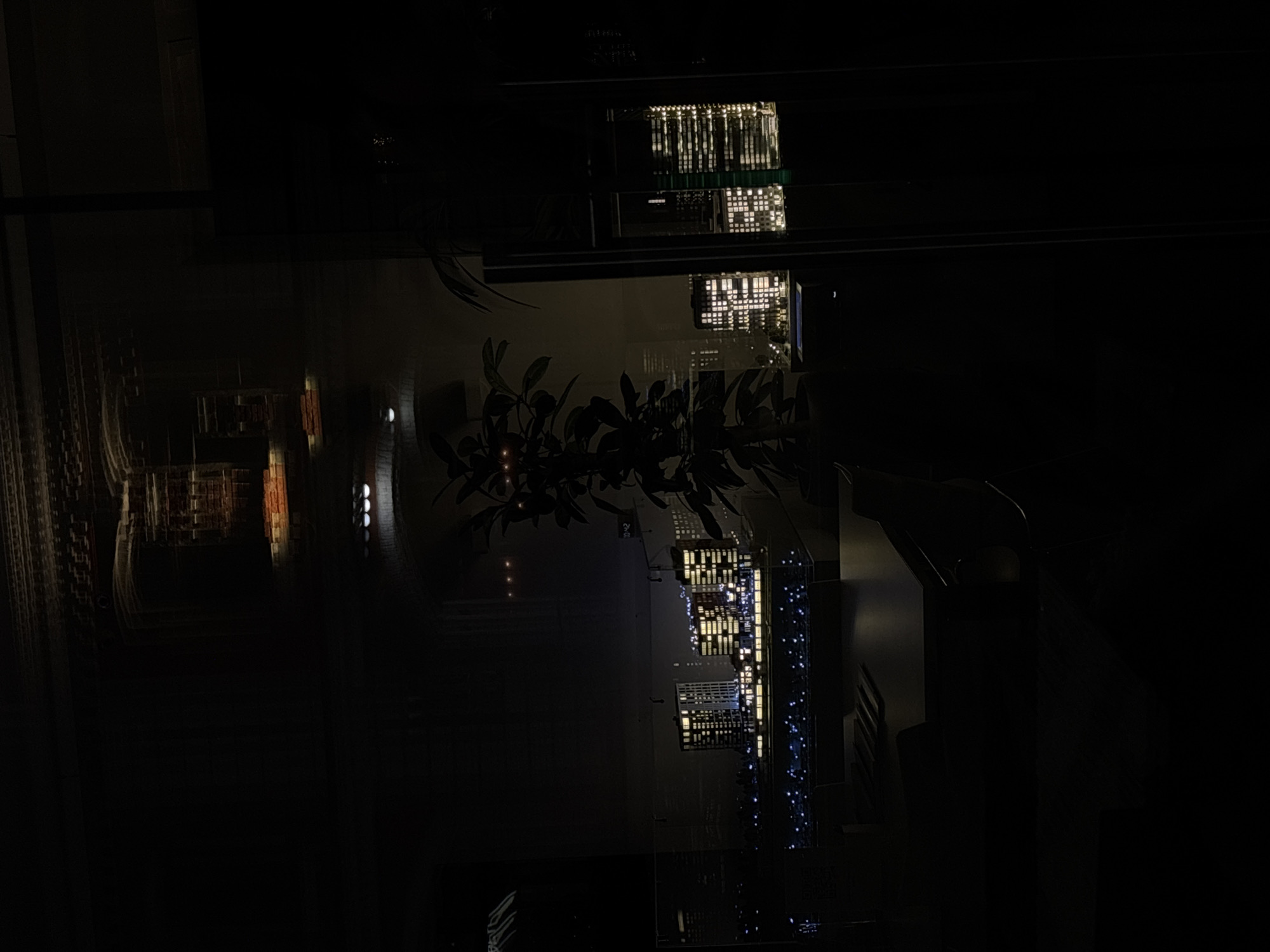 The image shows a nighttime reflection of buildings with illuminated windows in a dark, possibly wet or shiny, surface. A plant is positioned in the foreground, partially obscuring the view of the reflected cityscape. Based on the architecture and light patterns, this image is likely reflecting buildings in the Russian city of Perm.