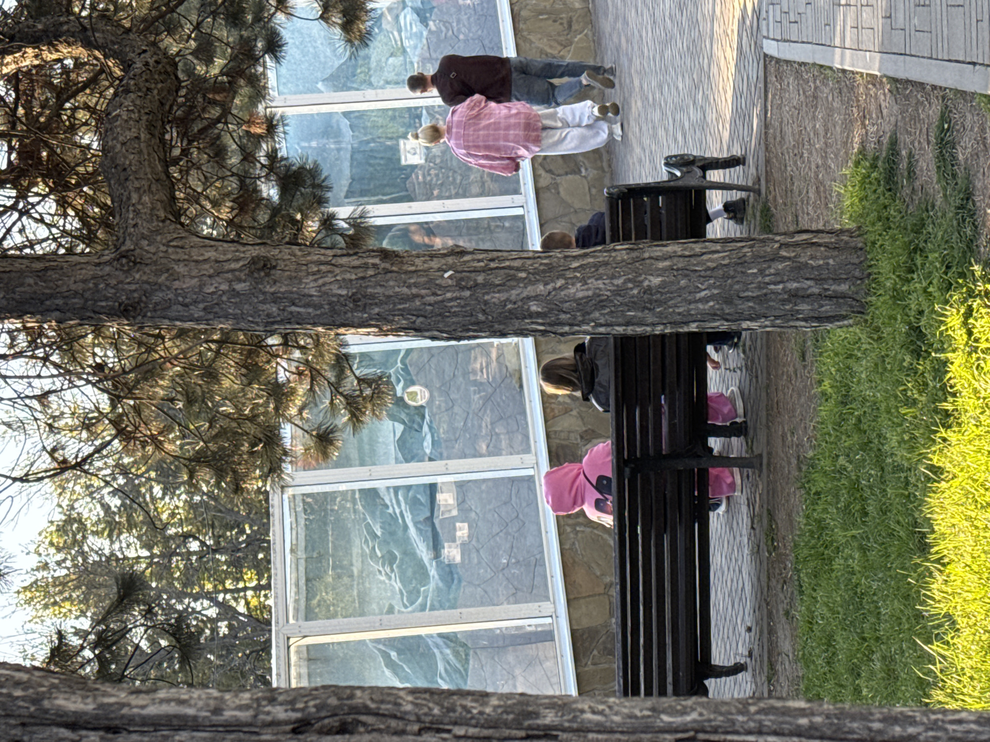 In Rostov-on-Don, Russia, the image captures a scene near a glass-enclosed exhibit, possibly at a zoo or park. A large tree trunk dominates the foreground, obscuring parts of the view. Behind the tree, a glass structure houses an exhibit with a textured wall background. Two adults stand observing the exhibit, one wearing a pink plaid shirt. Further down, a person sits on a bench, and next to them, another individual in a pink hoodie also occupies the bench. The area beside the bench transitions to a strip of grassy vegetation bordering a paved pathway.