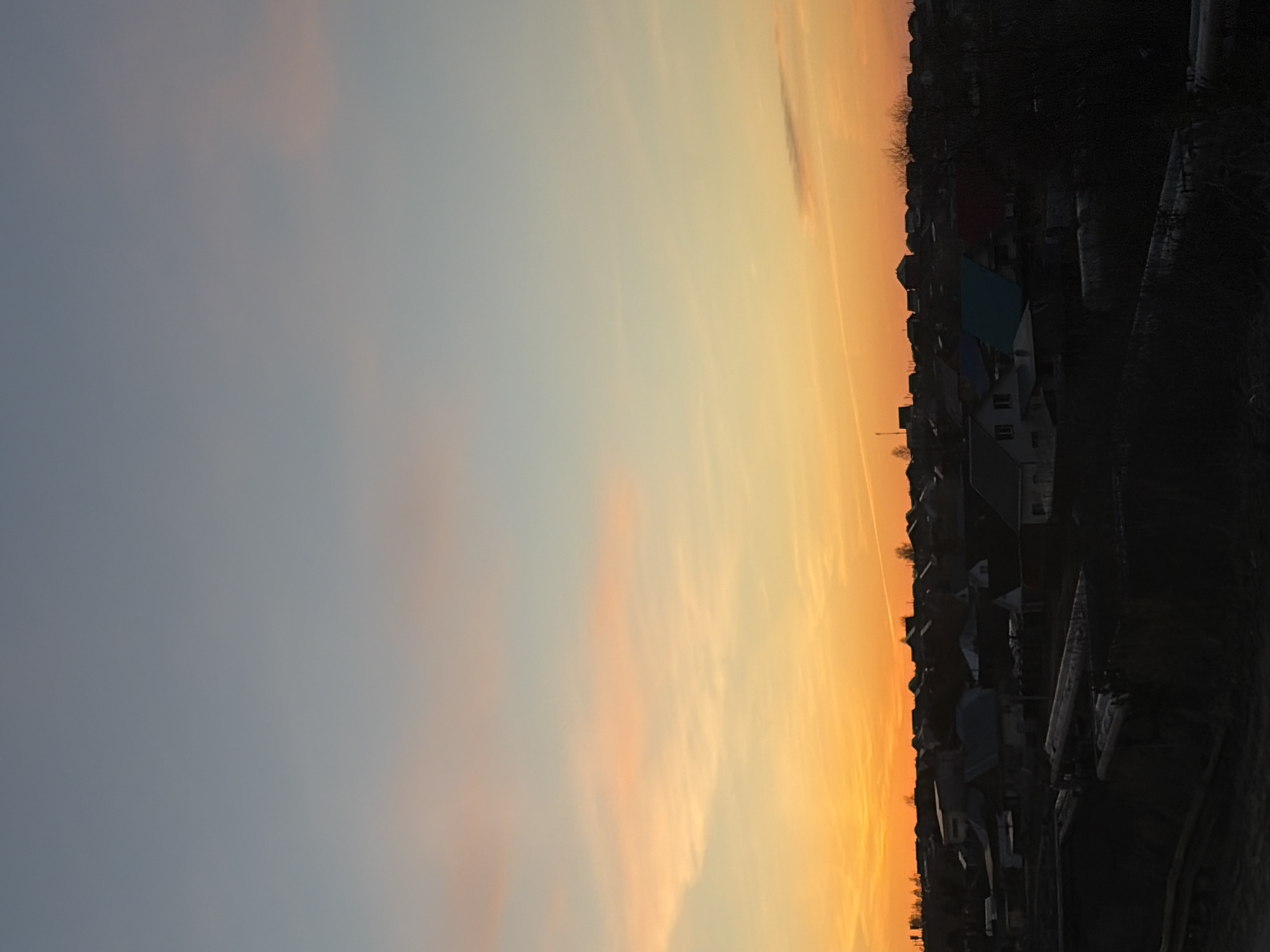 The image displays a panoramic view of a rural or suburban landscape at either sunrise or sunset, with the sky dominating the composition. The photograph is oriented vertically, showing the horizon line as a prominent horizontal division.
The sky exhibits a dramatic color gradient, transitioning from a soft, light blue-grey at the top of the frame to vibrant oranges and yellows near the horizon. Subtle, wispy clouds are visible across the sky, catching the warm light of the low sun. The horizon itself is a straight line, against which a dark silhouette of buildings and trees is cast.
Along the horizon, numerous structures, likely houses or small buildings, are visible in dark profile. Their shapes are indistinct due to the backlighting, but rooflines and general forms are discernible. One building, located centrally on the horizon, stands out with a distinctly light blue or teal roof, contrasting with the otherwise dark silhouettes. Bare trees with intricate branch patterns are scattered throughout the settlement and along the far right edge of the frame, also appearing as dark outlines against the glowing sky.
There are no people or explicit activities depicted. The scene conveys a sense of peacefulness and the natural beauty of the changing light. No text is visible in the image.