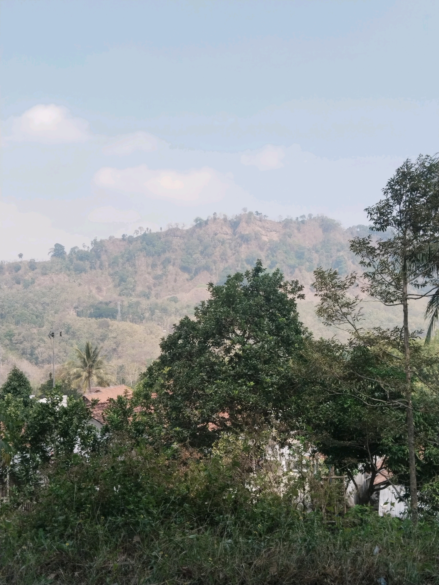The image depicts a hazy, distant view of a treeless, brown hillside in Cawitali, Indonesia. In the foreground, several large trees with dark green foliage obscure parts of the view, partially revealing rooftops and buildings. The sky is pale blue with scattered clouds, and the overall atmosphere is muted and slightly washed out, suggesting a dry or dusty environment. No people are visible in the image.