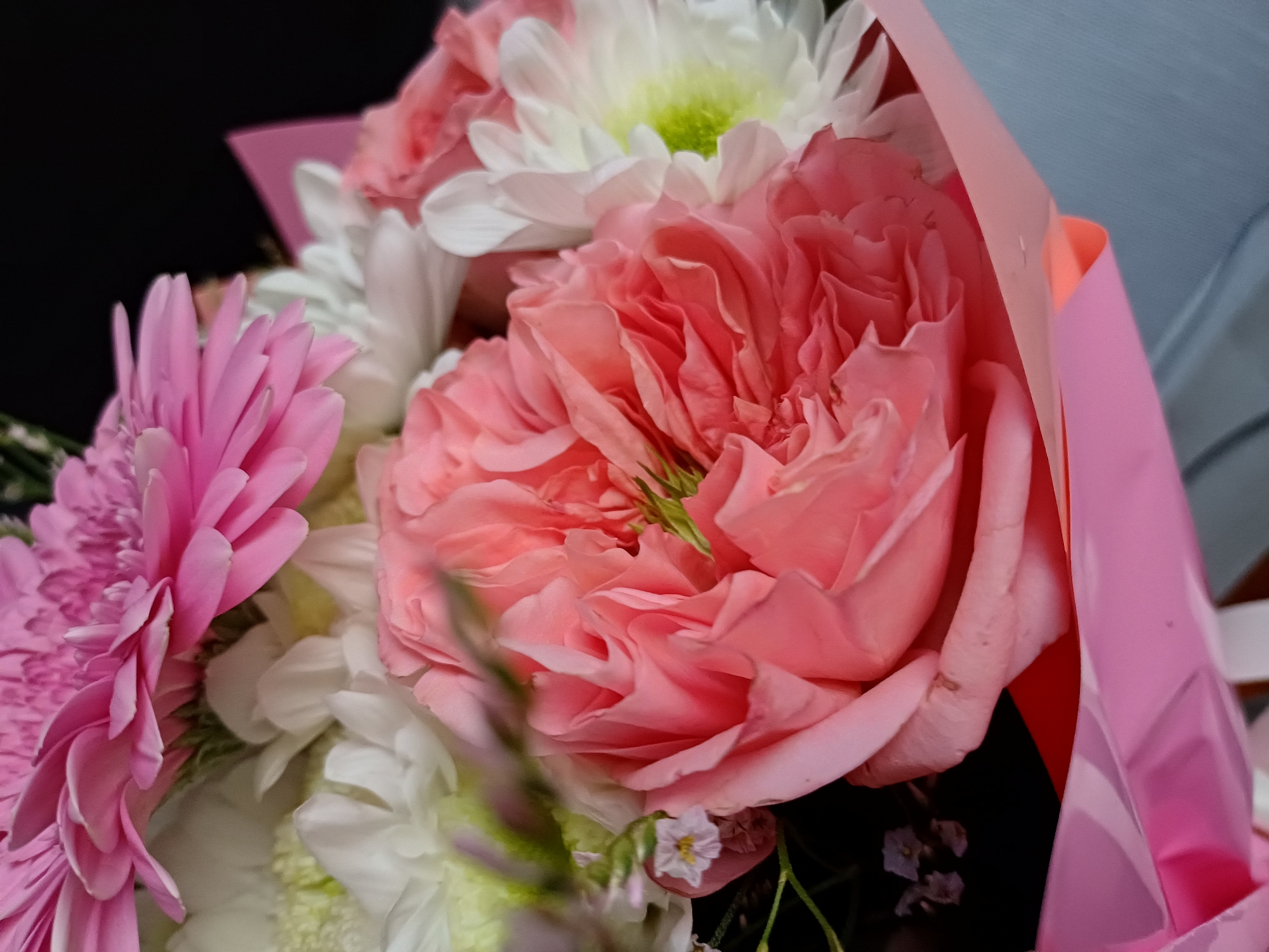 This is a close-up, eye-level shot of a bouquet of flowers. The dominant subjects are several blooms, including a large, ruffled pink rose in the center, a bright pink gerbera daisy on the left, and white chrysanthemums with green centers. The flowers are arranged in a bouquet, partially wrapped in pink and coral colored paper. The background is dark, creating a strong contrast that highlights the vibrant colors of the flowers. Some small, delicate purple flowers and green foliage are also visible, adding texture and depth to the arrangement. The lighting appears to be soft, illuminating the petals and bringing out their delicate details. The focus is sharp on the rose and gerbera daisy, with other flowers and the background slightly blurred, creating a shallow depth of field. There are no people or text visible in the image, and no specific clues about the time of day, weather, or exact location. The overall impression is one of beauty and freshness, with the colorful blooms suggesting a celebratory or gift occasion.