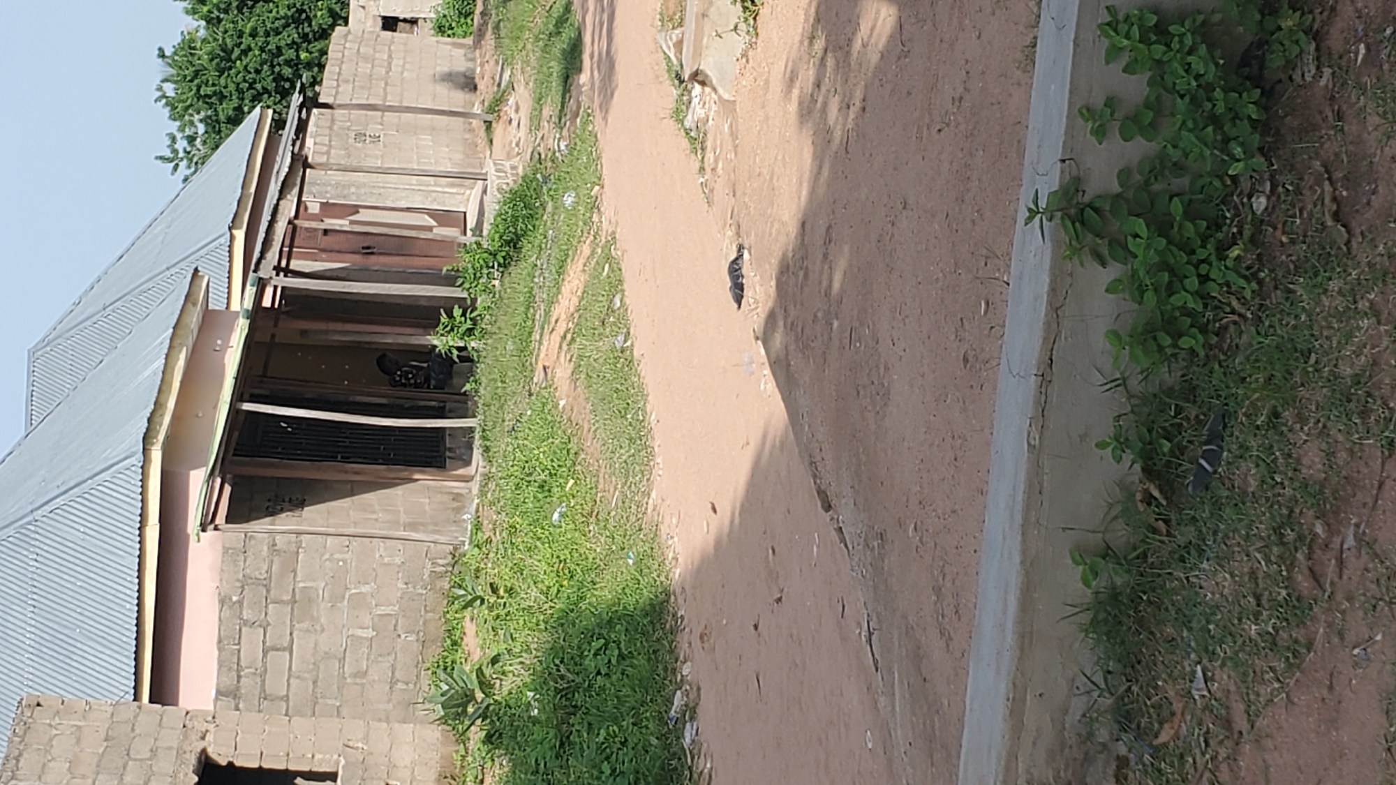 In Jalingo, Nigeria, a sunlit, outdoor scene unfolds with a focus on a small, unfinished structure and its surroundings. The building, constructed with cinder blocks, features a light pink upper section and a corrugated metal roof. A covered porch, supported by wooden posts, extends from the front of the building. Within the shaded area of the porch, a person, partially visible, is seated, their clothing pattern suggesting a dark and light design. Green vegetation, including grass and leafy plants, grows around the structure and on the adjacent ground, which is composed of packed dirt. A gray concrete curb runs along the bottom foreground of the image, with more greenery sprouting from its base. The scene appears to be in an open, undeveloped area, with evidence of some scattered debris on the ground.