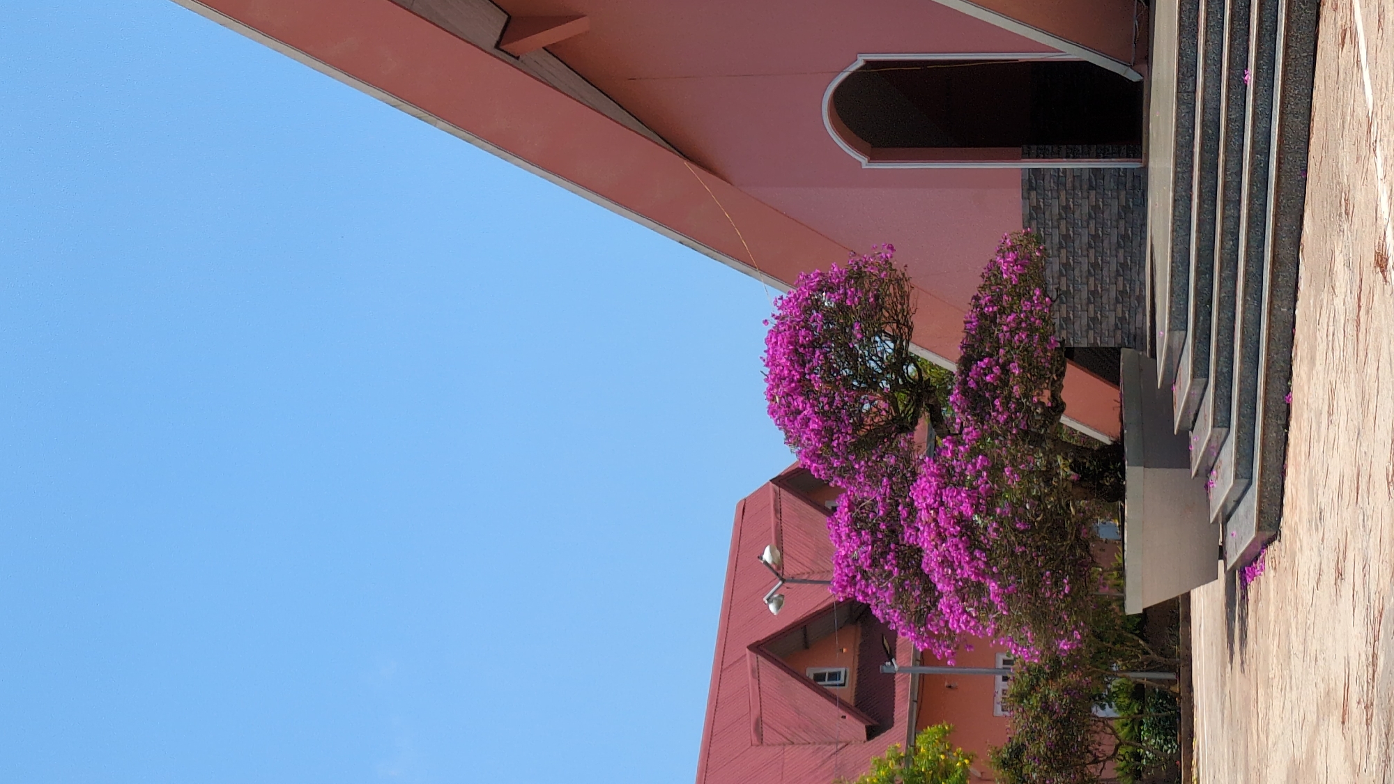 The image shows a building with a pink facade in Đa Thọ, Vietnam. A staircase is visible on the right, with a textured grey wall behind it. Purple bougainvillea flowers are in bloom, partially obscuring a building with a red roof in the background. The sky is clear blue.