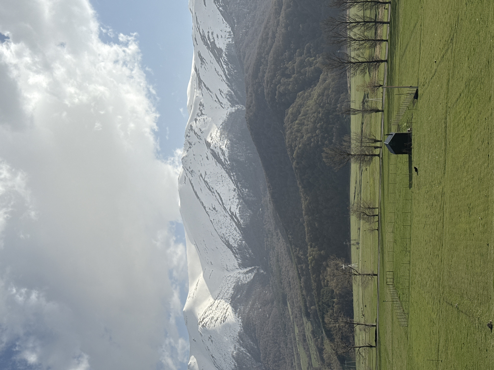 The image presents a landscape view in Margahovit, Armenia, featuring a snow-covered mountain against a partly cloudy sky. A densely forested area slopes down from the mountain's base, transitioning into a flat, grassy field. A line of trees runs along what appears to be a fence or boundary within the field. A small, dark structure is visible in the green field, close to the line of trees. The overall scene depicts a natural environment with a combination of mountainous and agricultural elements.
