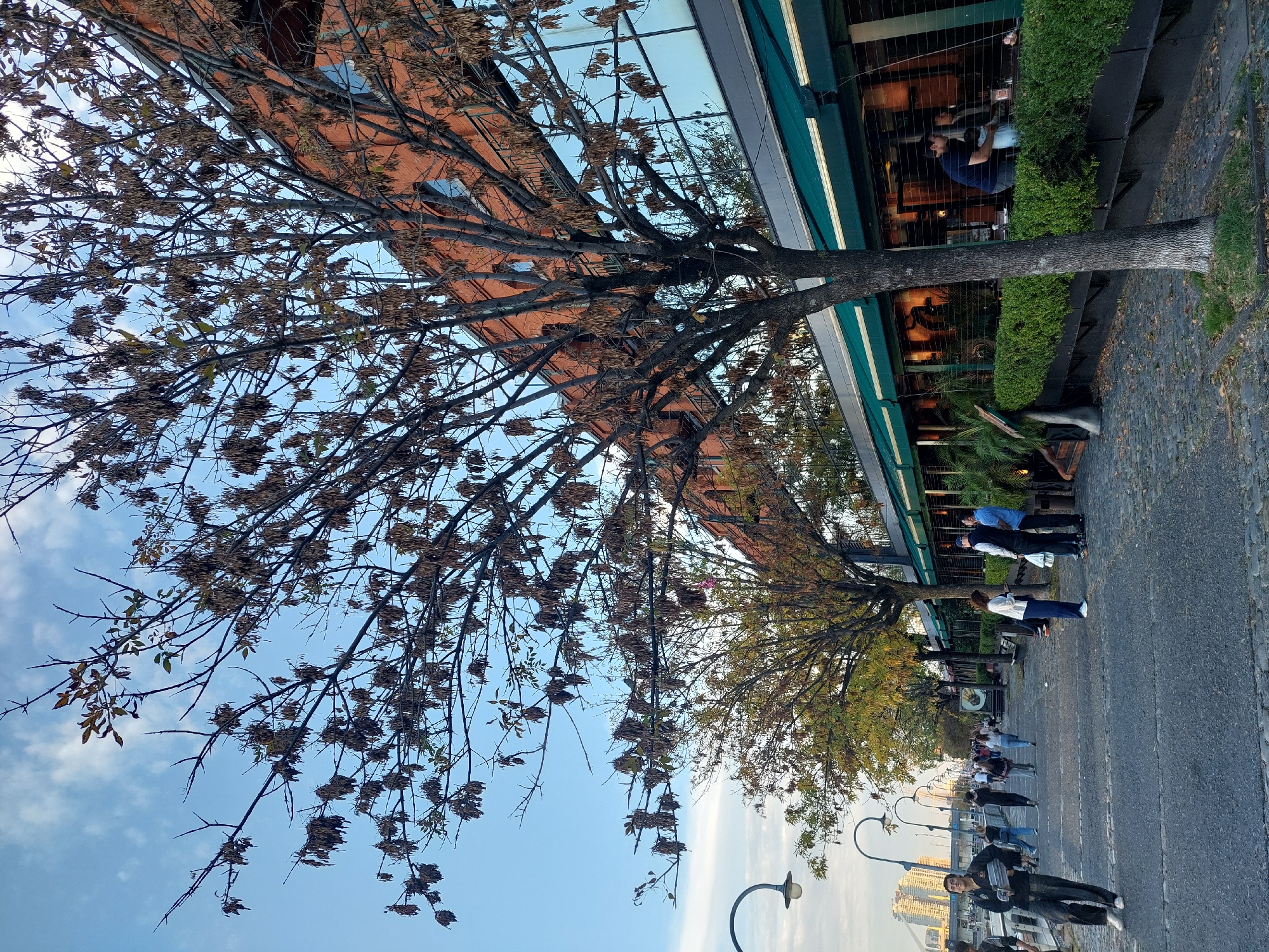 The scene shows a street in Buenos Aires, Argentina, likely in the Puerto Madero area. People are walking along a paved sidewalk adjacent to a road. Street lamps line the street. Trees with sparse foliage are planted along the sidewalk. A building with a glass facade is visible behind the trees, and a restaurant with outdoor seating is partially visible. Individuals are seated at the restaurant, while others are walking along the sidewalk. The sky is partially cloudy.