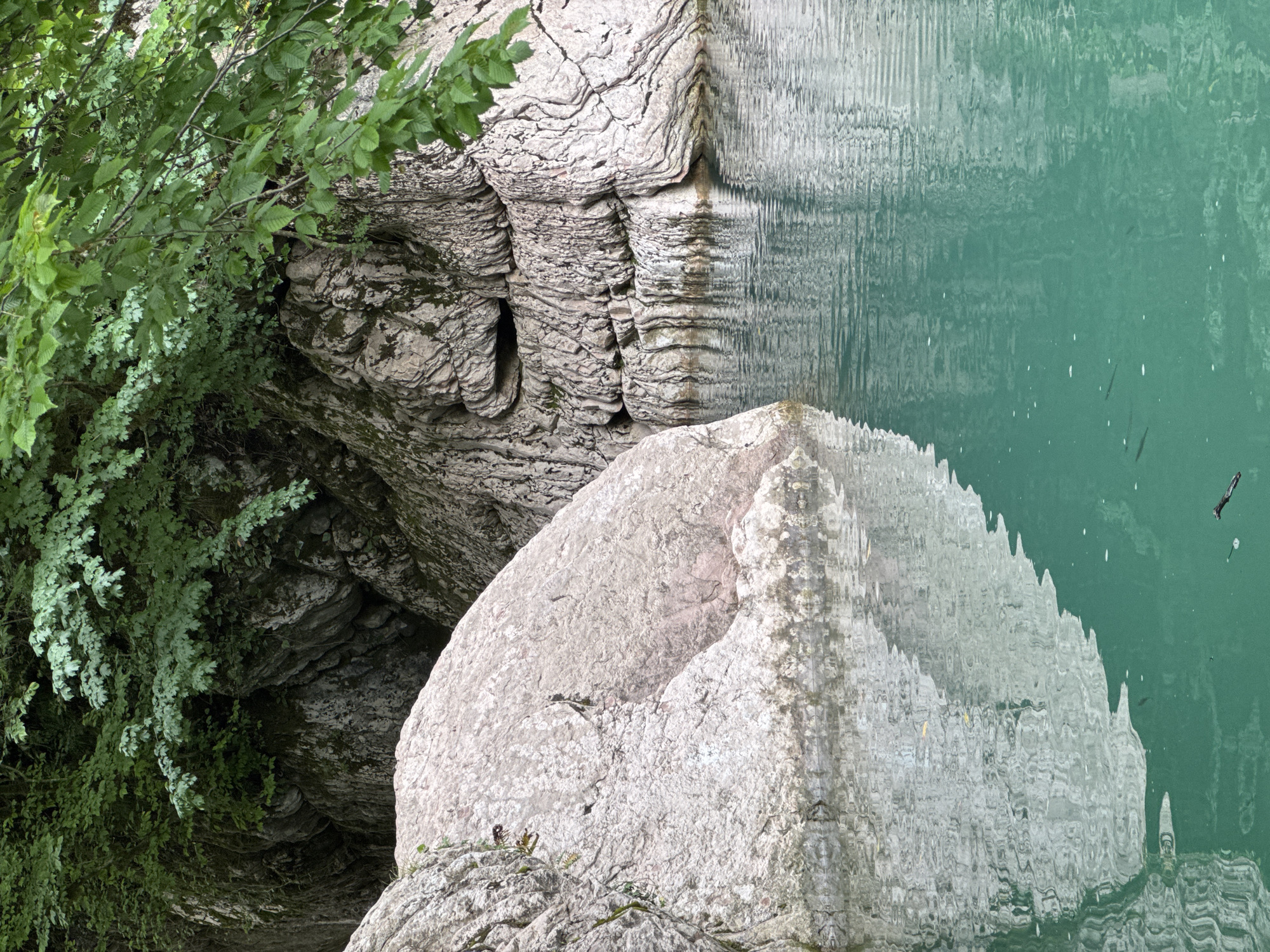 The image shows a natural scene with a body of turquoise water in the foreground, reflecting the surrounding rocks and foliage. On the left, a large, pale pinkish-grey boulder dominates the foreground, its surface textured and weathered. Behind this boulder, and to the right, is a cliff face composed of layered grey rock, showing striations and crevices. Lush green foliage hangs from the top of the cliff, obscuring parts of the rock formation. The water is calm, with ripples distorting the reflections of the rocks and trees. Several small, dark fish are visible swimming in the clear water. There are no people or man-made objects in the scene, suggesting a remote natural location. The image appears to be a photograph taken outdoors, likely in a natural gorge or riverbed. The description of Khleborob, Russia is not supported by any visual evidence within the provided image.
