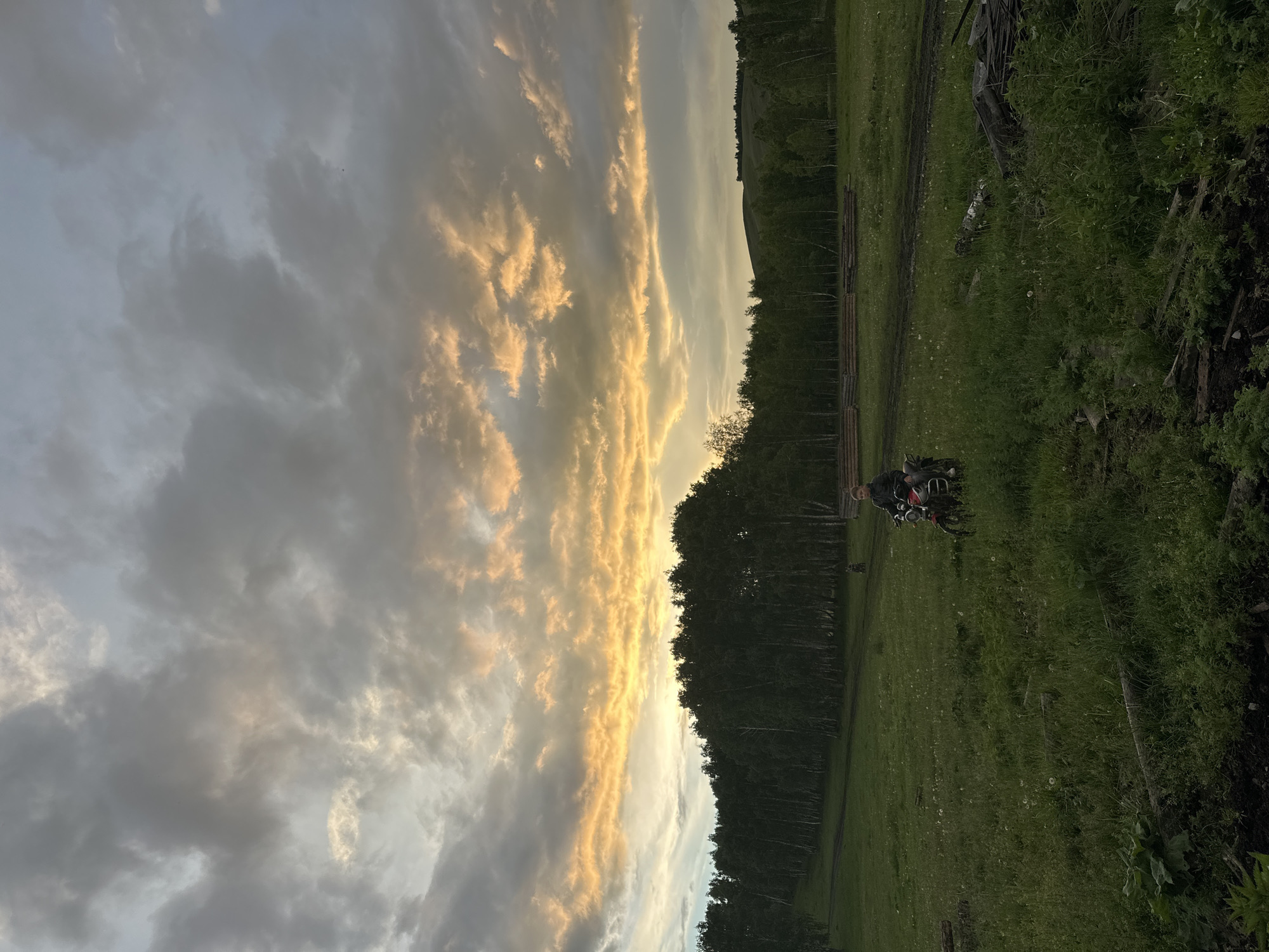 An outdoor shot captures a vast, grassy field under a dramatic sky. The sky is filled with a mix of dark gray and bright yellow-orange clouds, indicating either sunset or sunrise. In the middle ground, a person rides a red dirt bike through the field. A line of dense, dark green trees borders the field in the background, with rolling hills visible beyond them. The ground is covered in grass, with some scattered logs and debris in the foreground. The overall scene suggests a rural or wilderness setting, possibly during twilight.