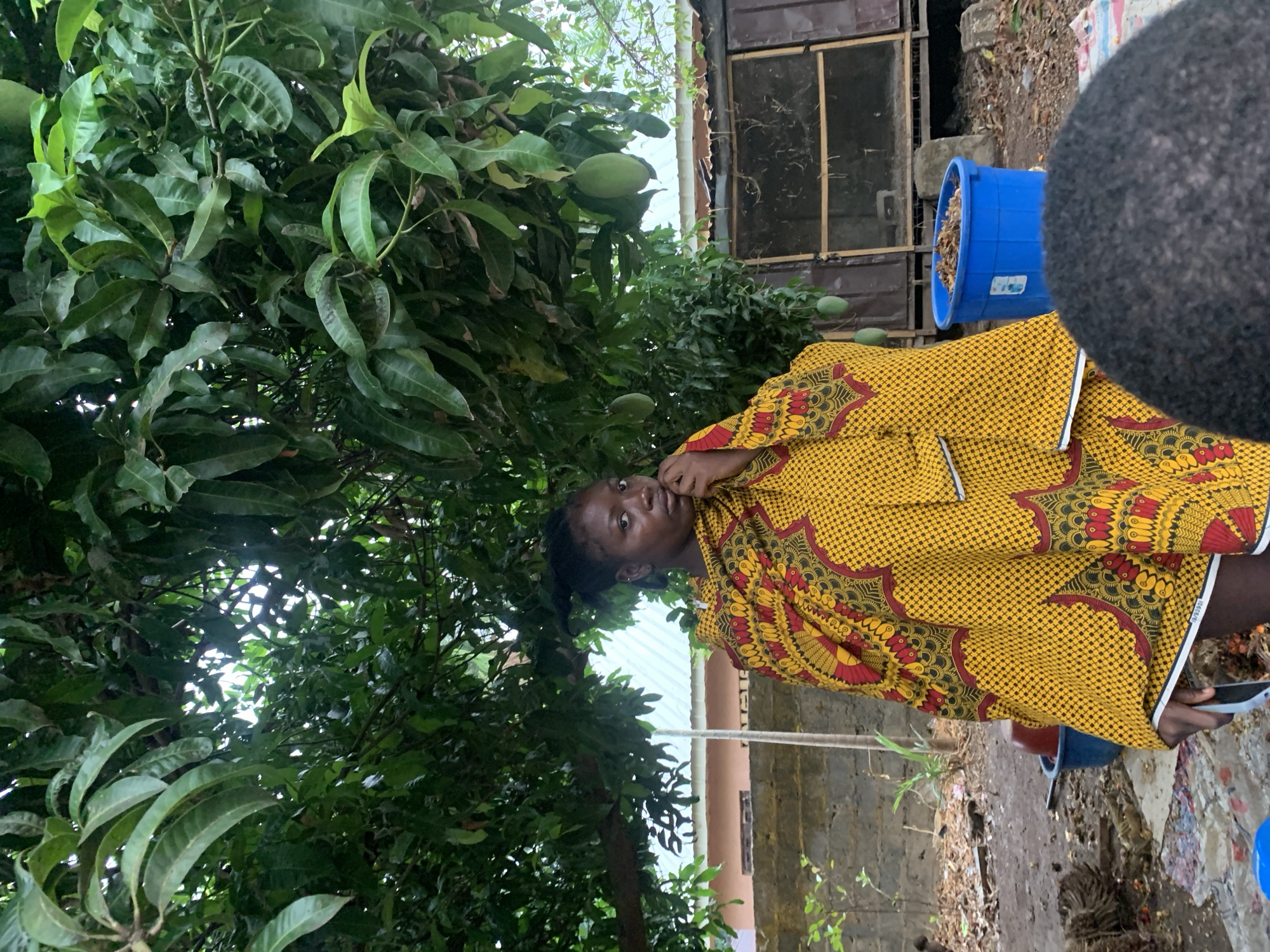 A woman in a yellow and red patterned dress stands near a mango tree with green mangoes growing on it. The setting appears to be an outdoor space in Akwanga, Nigeria, indicated by the type of vegetation, the style of dress, and the building visible in the background. There is a blue bin filled with dried leaves next to her, as well as a dark shape on the right side of the image, possibly the back of someone's head. The ground is covered in a mix of dirt and debris. The overall impression is that of an everyday scene in a tropical or subtropical environment.