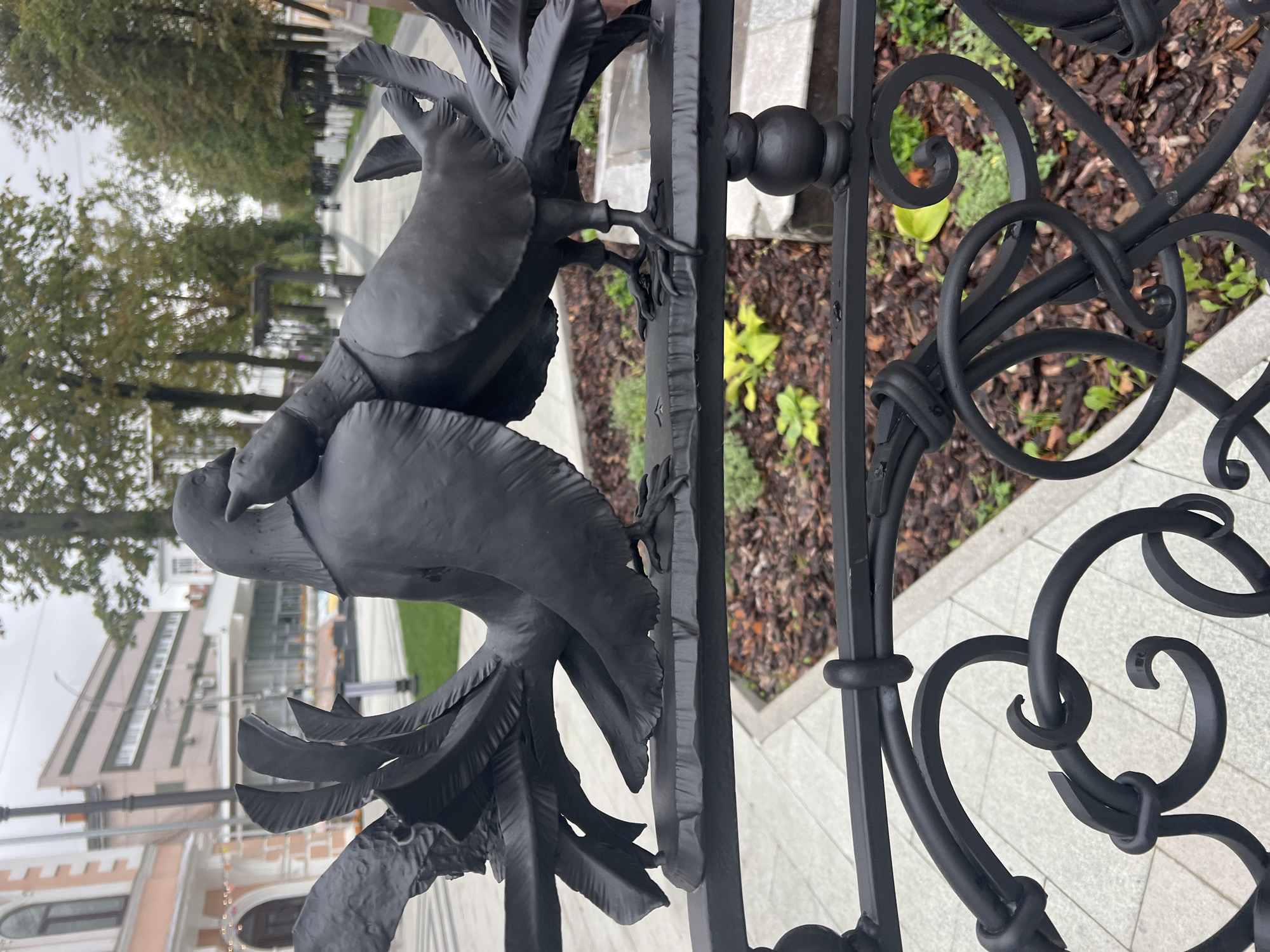 An outdoor scene shows a close-up of a black metal fence with a sculpture of two pigeons on top. The sculpture is made of dark metal and depicts two pigeons perched close together, with their wings spread and tails fanned out. The fence itself is also black metal, featuring decorative scrollwork and a sturdy horizontal bar. Behind the fence, a walkway made of light-colored paving stones is visible, lined with trees. In the background, buildings and more trees can be seen. The ground around the walkway is covered with mulch and some green plants. The sky is overcast.