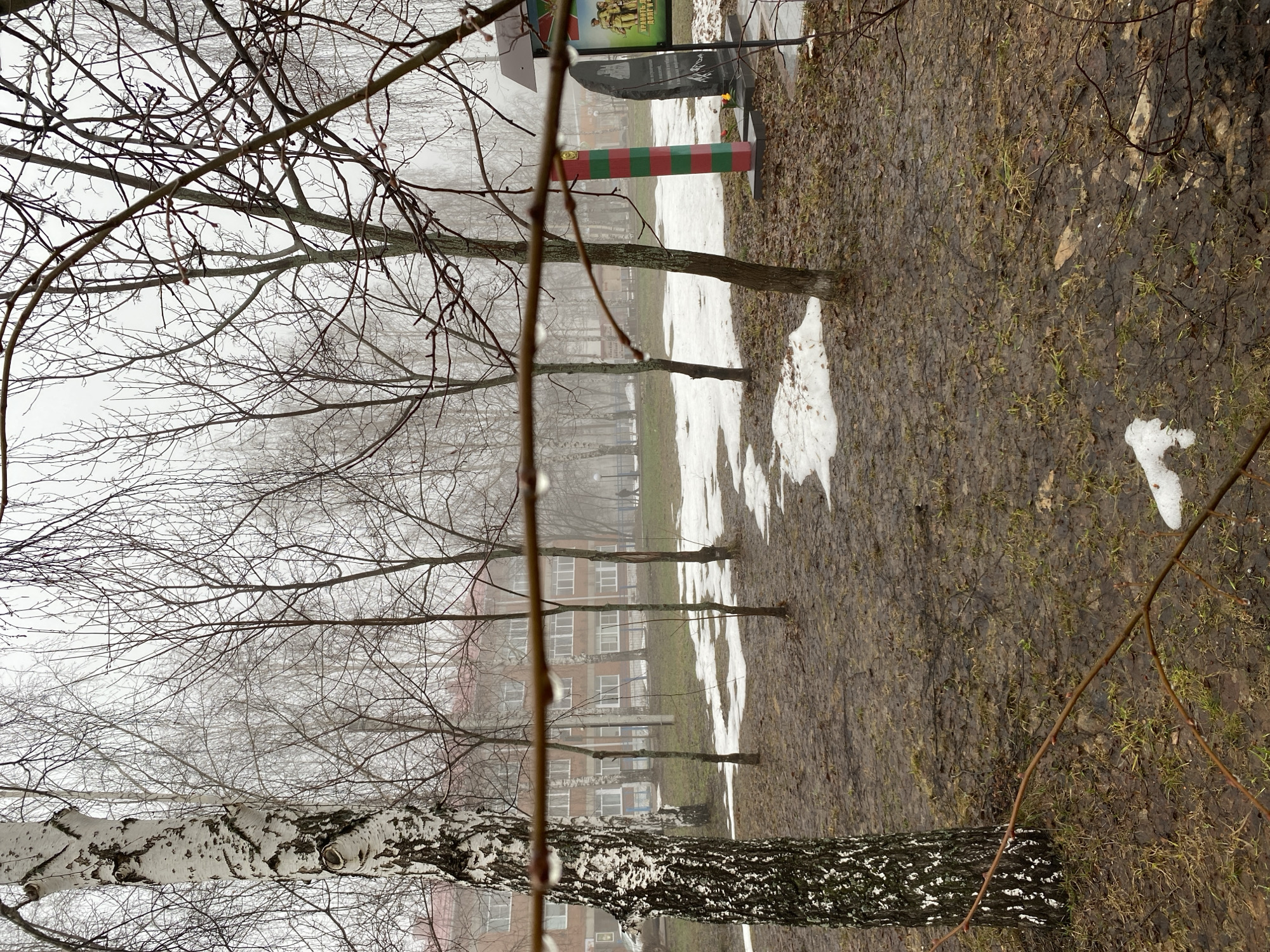 The image shows an outdoor scene in Noviy, Russia, during a foggy late winter or early spring day. The ground is covered with a mixture of bare patches, dead leaves, mud, and melting snow. Several birch trees, easily identifiable by their distinctive white bark, stand in a line extending into the distance. The trees are bare, with only branches visible. Behind the trees, a multistory building can be seen through the fog. A green and red striped pole stands in the background, along with a memorial or grave site. The overall impression is one of a somber, overcast day.