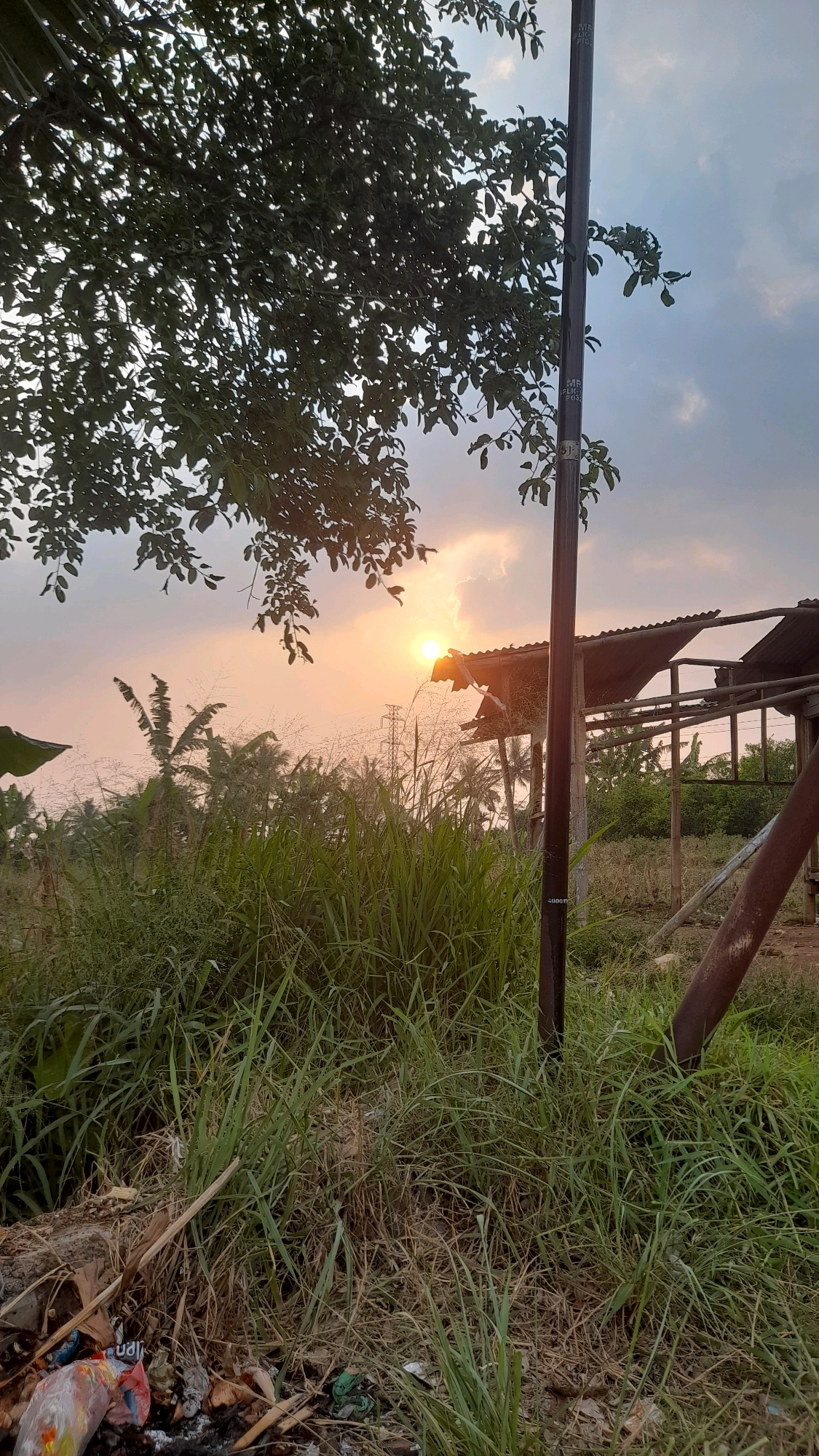 The image captures a sunset scene in Selaawi, Indonesia, characterized by lush greenery and a rustic, partially dilapidated structure. In the foreground, overgrown grass and dry vegetation dominate, with some scattered debris including plastic bags. A dark, vertical pole with markings stands prominently in the right mid-ground, partially obscured by foliage. Behind the vegetation, a simple, open-sided structure with a corrugated metal roof appears weathered and in disrepair. The setting sun casts a warm, orange glow across the sky, with visible clouds. In the background, palm trees and other tropical vegetation are scattered, along with what appear to be electrical pylons. No people are visible in the frame.