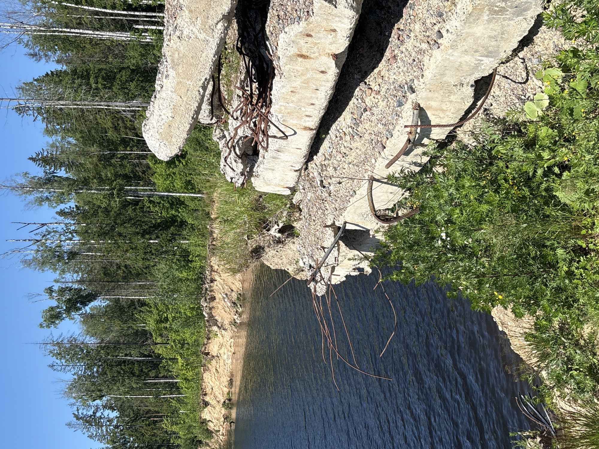 The image depicts a disused quarry in Yoksolovo, Russia, characterized by a body of dark blue water on the left and a steep, sandy embankment leading up to a dense forest of coniferous and deciduous trees under a clear blue sky. In the foreground on the right, a pile of broken concrete slabs is prominently featured, with exposed rusted rebar protruding from the debris. The slabs appear to be remnants of construction or demolition. Lush green vegetation, including bushes and smaller plants, grows around the concrete rubble and along the edge of the water. The overall scene suggests a state of abandonment and natural reclamation.