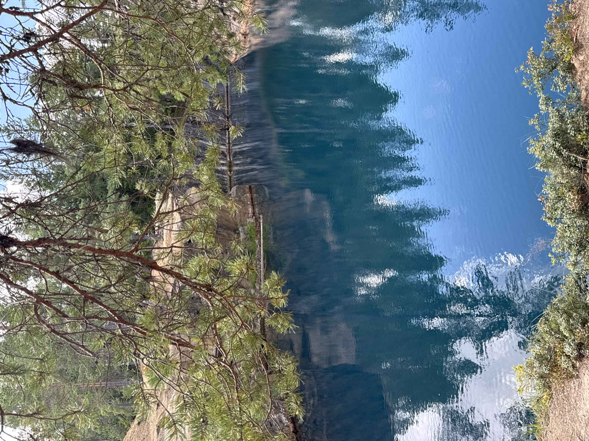This image depicts a quarry lake with exceptionally clear, turquoise-blue water, located in the city of Säter, Sweden. The lake is surrounded by steep, rocky quarry walls, which are reflected in the water. Overhanging pine branches with green needles partially obscure the top of the frame, framing the view of the quarry and its reflection. The water's surface is disturbed by gentle ripples, creating distorted reflections of the surrounding trees and sky. The bottom edge of the image shows a bank covered with low-lying green shrubs and dry grass, with a sandy or earthy surface. The overall impression is one of natural beauty and tranquility within an industrial past.