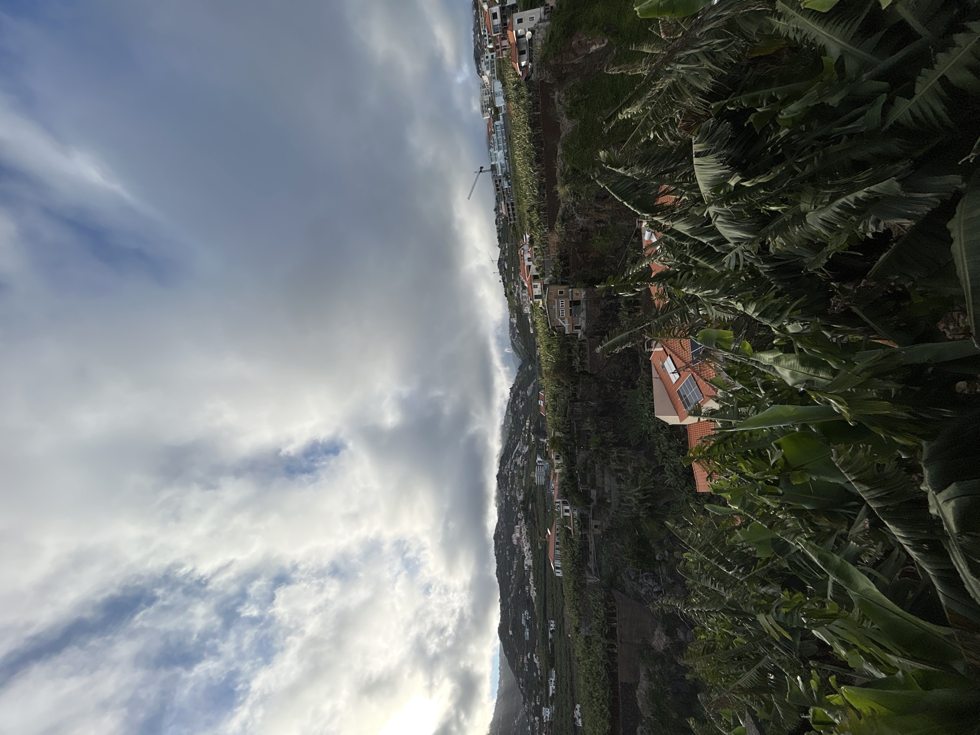 The image depicts a hillside in Câmara de Lobos, Portugal. The sky is overcast with various layers of clouds. Numerous buildings, mostly white with red tile roofs, are scattered across the hillside. A construction crane is visible. Banana trees are abundant in the foreground.