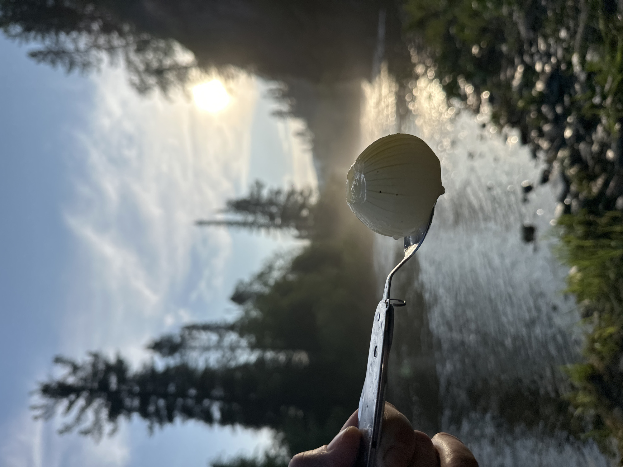 A close-up shot captures a hand holding a metal utensil, possibly a spoon, with a peeled white onion resting on its surface. The onion is slightly damp, with a few droplets visible. In the background, a serene river flows through a natural landscape, bordered by lush green vegetation and tall, dark trees that suggest a forest. The sun, partially obscured by clouds and atmospheric haze, casts a warm, diffused light on the scene, creating a gentle glow and reflecting off the water's surface. The sky above is a soft blue with wisps of white clouds. The overall ambiance is peaceful and evokes a sense of outdoor exploration or a quiet moment in nature. The location is specified as Medvezhka, Russia.