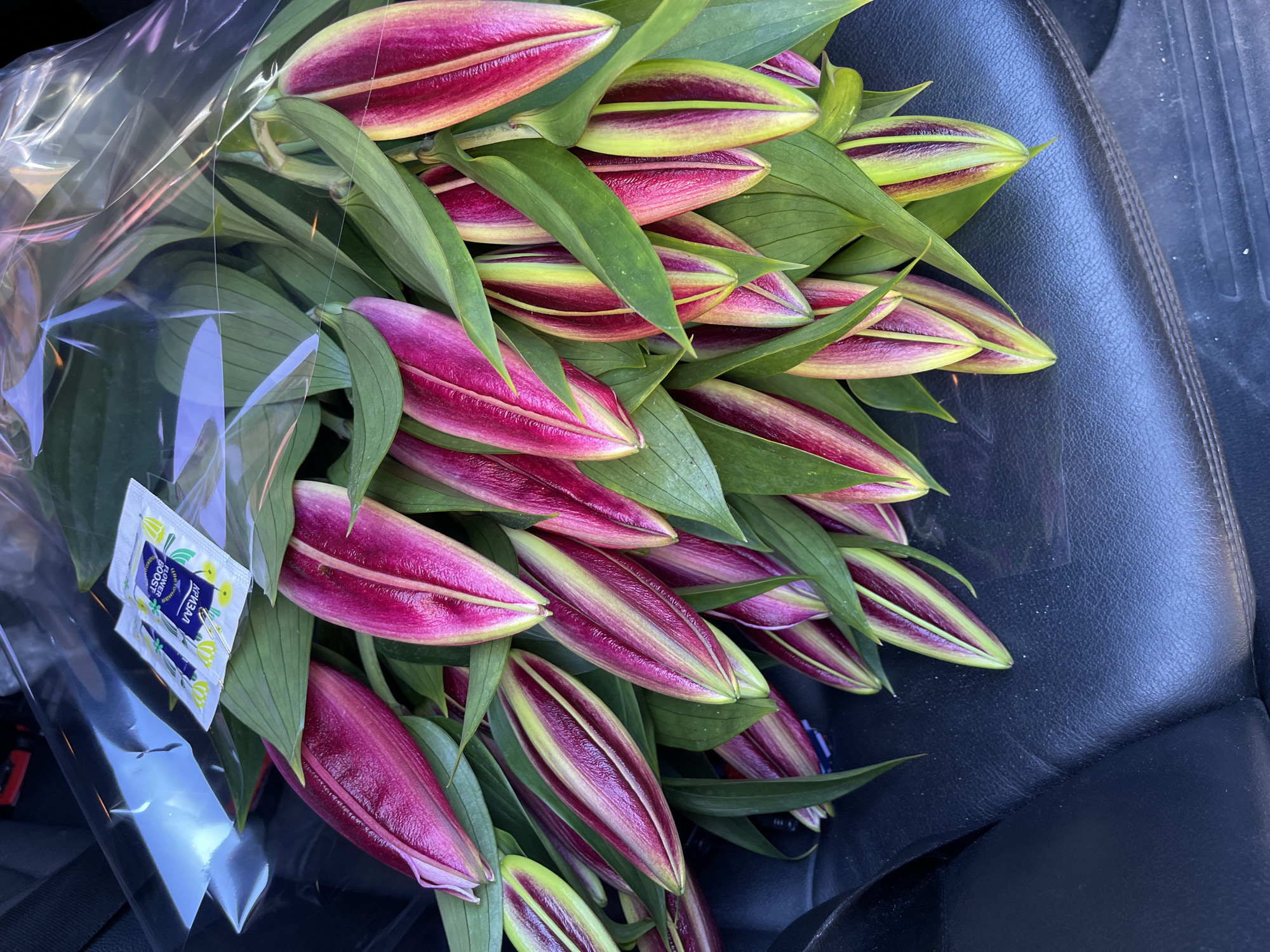 A bouquet of unopened pink and green lilies is displayed, wrapped in clear plastic and resting on the black leather surface of a vehicle seat. The bouquet is oriented diagonally across the frame, with the lilies pointing towards the top left. Two small sachets of flower food, labeled "FLOWER BOOST" and in Russian, are visible tucked into the plastic wrap near the top of the bouquet. The background consists of the dark interior of a vehicle.