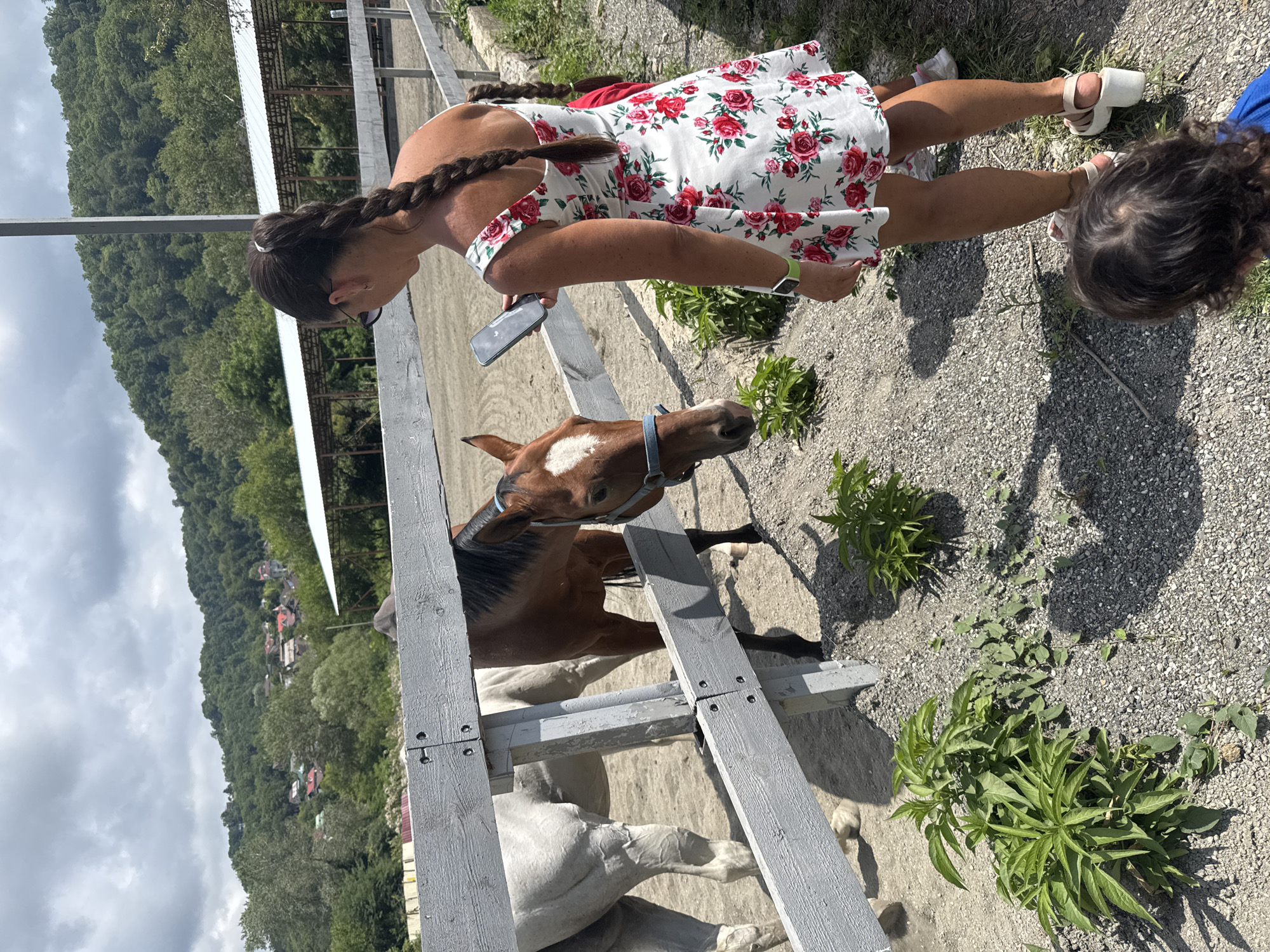 A woman in a floral dress, viewed from behind, holds a smartphone while interacting with two horses at a fenced enclosure. One horse, a brown and white mare, is close to the fence and appears to be looking at the woman. Another horse, a light gray mare, stands behind the first. The enclosure is situated in an outdoor area with gravel and vegetation. In the background, a lush, green hillside with scattered buildings and a covered structure is visible under a cloudy sky. The location is identified as Sochi, Russia, suggesting a mountainous and possibly coastal environment.