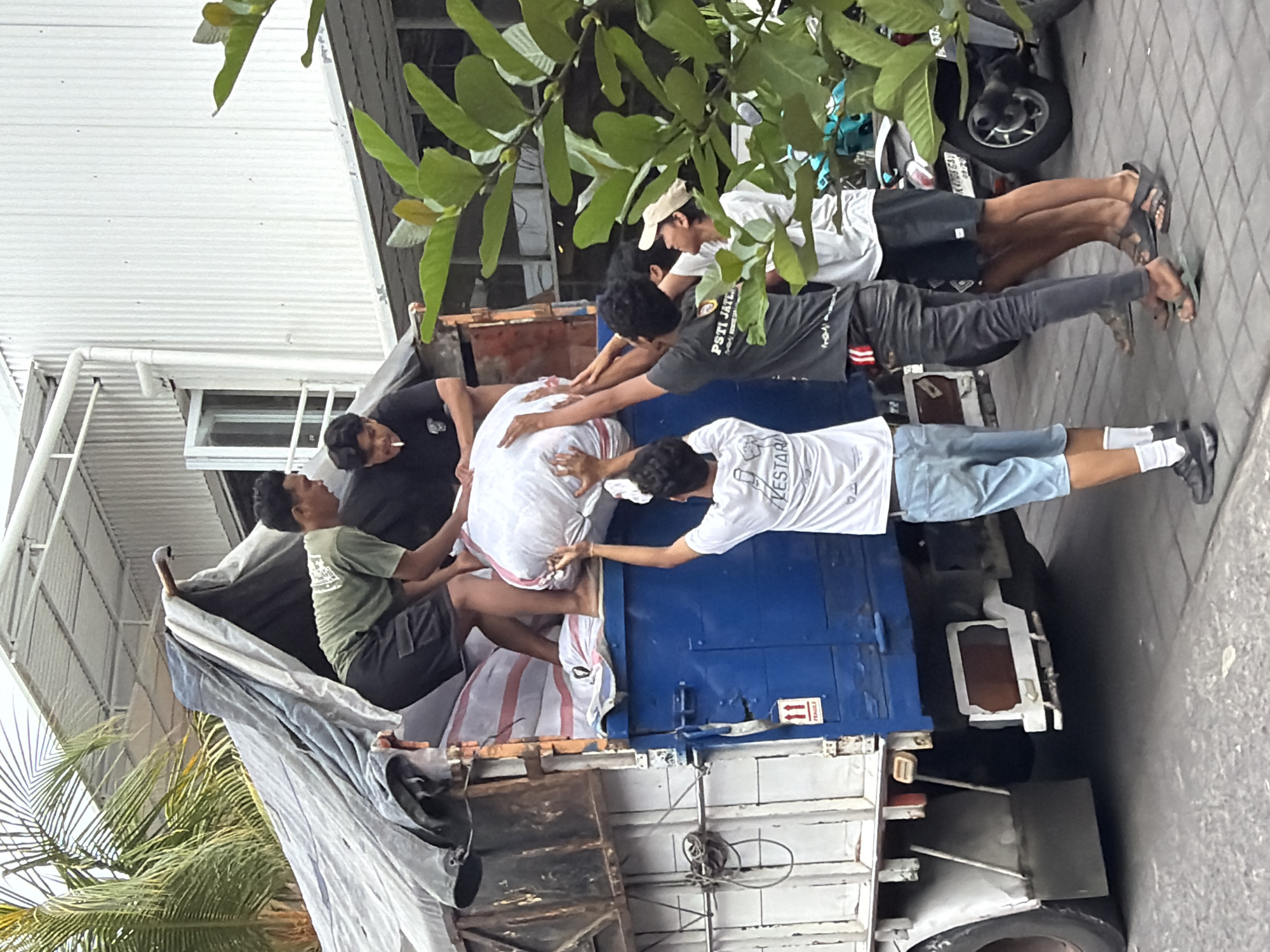 In North Kuta, Indonesia, several young men are engaged in the process of loading large white sacks into the back of a blue and white truck. The truck is covered with a gray tarp, and some of the sacks are already inside. The men are actively lifting and maneuvering the sacks, with some standing inside the truck bed and others reaching up from the ground. One man inside the truck is wearing a black t-shirt and appears to be smoking a cigarette. The environment suggests a commercial or industrial setting, with a white corrugated building visible in the background and lush green foliage framing the right side of the image. A motorcycle is parked near the truck. The ground is paved with hexagonal tiles.