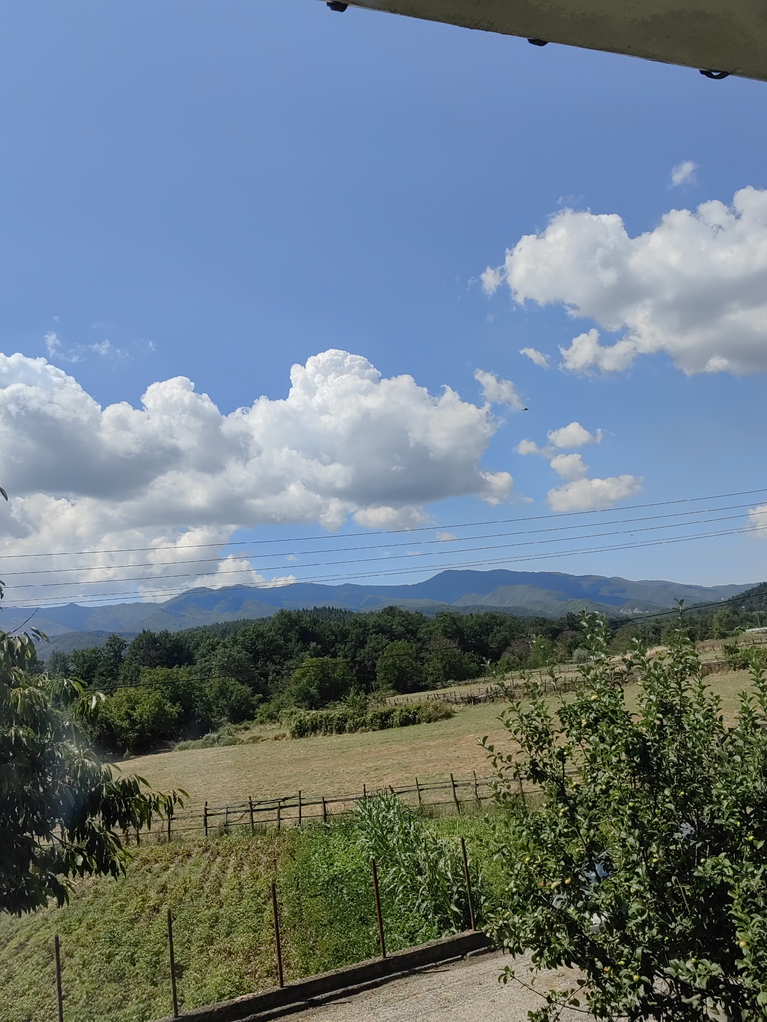 The image captures a rural landscape under a bright blue sky dotted with fluffy white clouds. In the foreground, a patch of green vegetation, possibly a garden, is visible. A rustic wooden fence runs across a field of dry grass, with more green foliage and trees in the midground. A range of lush green mountains forms the backdrop, receding into the distance. Overhead, power lines stretch horizontally across the scene, a subtle human intrusion on the natural beauty. The overall impression is one of tranquility and a peaceful rural setting, likely in the outskirts of Djerovo, Bulgaria.