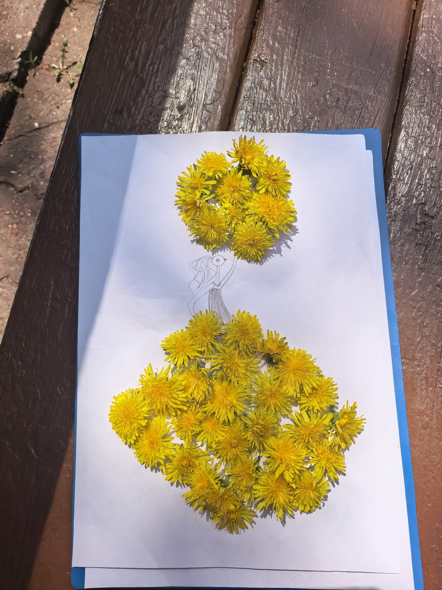 A top-down shot shows a drawing of a woman in a dress on a piece of white paper held within a blue binder on a brown, weathered wooden surface. The "dress" and "hair" of the drawing are filled in with freshly picked yellow dandelions. The wooden surface appears to be a bench or table. The surrounding environment is only partially visible, showing some brickwork with vegetation. It cannot be reliably determined that this image was taken in the city of Sterlitamak, Russia.