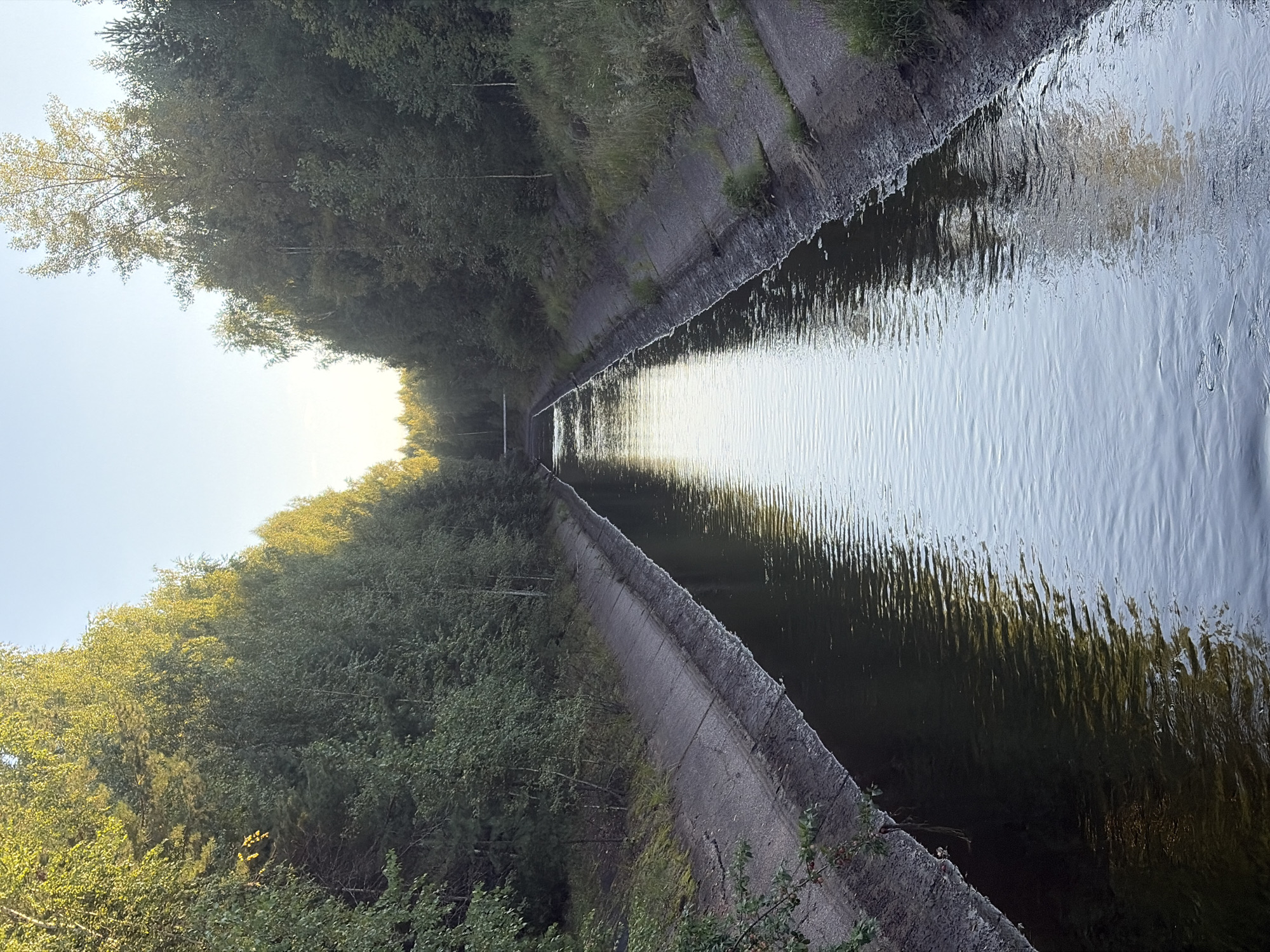 The image shows a straight, man-made canal with concrete banks lined by dense trees on both sides. The water in the canal is dark and reflects the sky and trees. The sky is clear and blue, suggesting it is daytime. In the distance, the canal appears to continue into a wooded area, and there is a hint of a bridge or structure crossing it. The scene is located in the city of Chernushka, Russia.