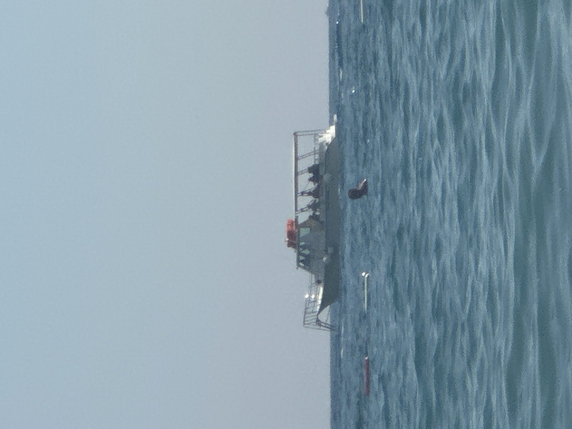 A wide shot captures a boat with several people aboard, sailing on the water. The boat, which appears to be a passenger vessel, has a covered upper deck. In the foreground, a person is partially submerged in the water, swimming. Other objects, possibly buoys or inflatable devices, are scattered on the water's surface. The scene is set against a clear blue sky. The location is identified as Boreti, Montenegro.
