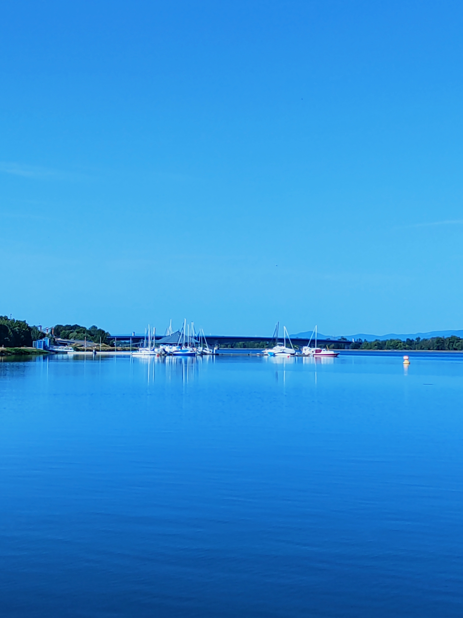 This is a vertical, medium-shot photograph taken on a clear, sunny day. The scene depicts a calm, blue body of water, likely a lake or river, reflecting the sky and surrounding elements. In the distance, a shoreline is visible, lined with trees and some buildings. A prominent feature is a marina filled with sailboats, their masts creating a distinct pattern against the sky. A bridge stretches across the water in the background. In the foreground, the water is smooth with subtle ripples. A small, yellow and red buoy floats on the right side of the frame. The overall impression is one of tranquility and leisure. The location is the port of Altenheim, Germany.