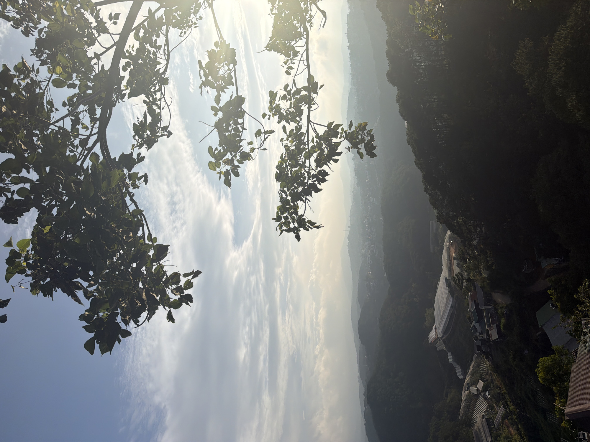 The image captures a scenic vista overlooking a valley, likely in Xuân Thành, Vietnam. The foreground is dominated by the silhouette of a tree with lush green leaves, its branches arching across the top of the frame. Sunlight filters through the foliage, creating a lens flare effect and illuminating the sky with a soft glow.
Below the tree, a layered landscape unfolds. Rolling hills descend into the distance, dotted with a small town or village visible in the mid-ground. The architecture appears to be a mix of traditional and modern, with rooftops of various colors and shapes. Some areas show evidence of agriculture or development, such as greenhouses or terraced fields. The overall impression is one of a serene, rural setting bathed in the gentle light of either sunrise or sunset.
