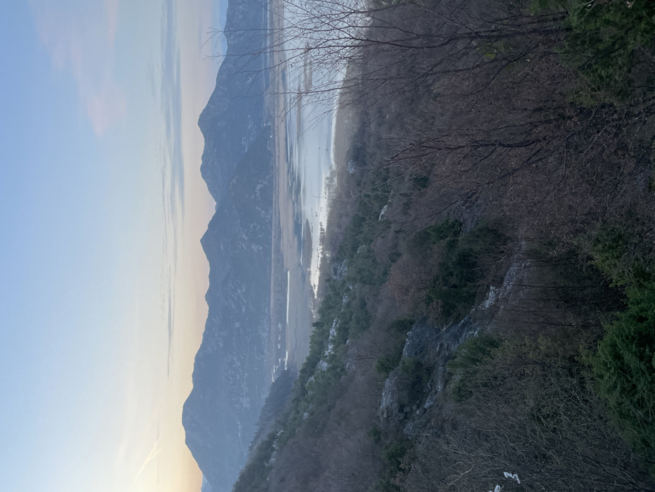 The image displays an elevated panoramic view of a natural landscape, identified as the area surrounding Lake Skadar near Godinje, Montenegro, under the diffused light of either dawn or dusk. The sky, occupying the upper portion of the frame, exhibits a gradient from pale blue overhead to subtle pink and orange hues at the horizon. A prominent range of dark, rugged mountains forms the backdrop, stretching horizontally across the mid-ground. Below the mountain range, a calm, serpentine body of water, reflecting the sky's light, extends from left to right, bordered by low-lying, marshy terrain and sparse vegetation. Indistinct small structures, indicative of human settlement, are faintly visible along the distant shore near the water's edge. The foreground and immediate mid-ground consist of a steep hillside densely covered with vegetation. This vegetation is primarily composed of bare deciduous trees with visible intricate branching patterns, interspersed with clusters of dark green evergreen shrubs and patches of exposed grey rock formations. No individuals, animals, or specific actions are discernible within the scene.