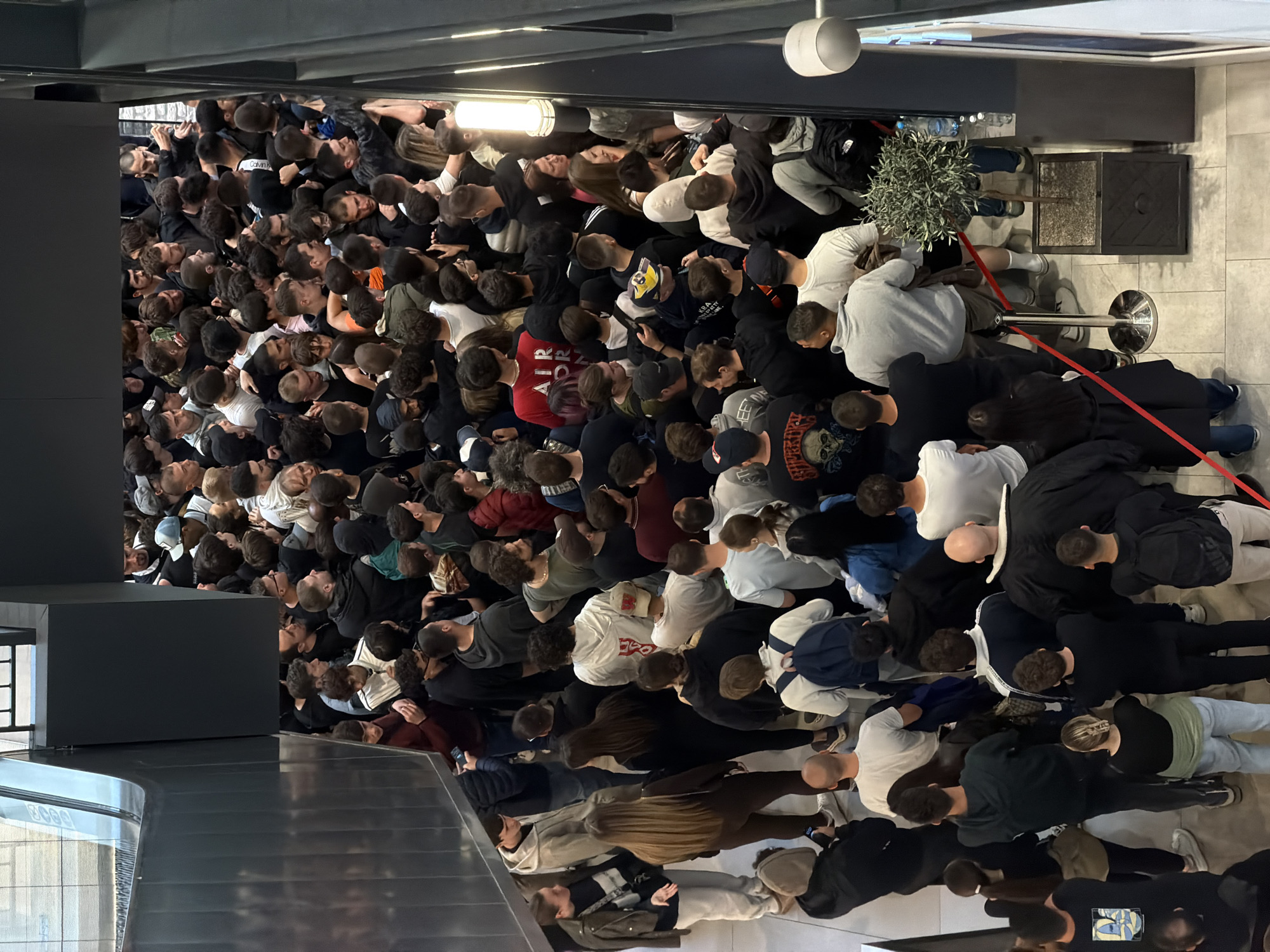 A densely packed crowd of people is waiting in line. They are indoors, possibly in a building in Belgrade, Serbia. The crowd is mainly composed of men wearing casual clothing, including hoodies, t-shirts, and jackets. Most of them are looking upwards, presumably towards something of interest. A stanchion with a red rope is managing the crowd, and there's a decorative olive tree in a pot nearby. Overhead lighting illuminates the scene. The building has a modern aesthetic with metal and tile finishes.