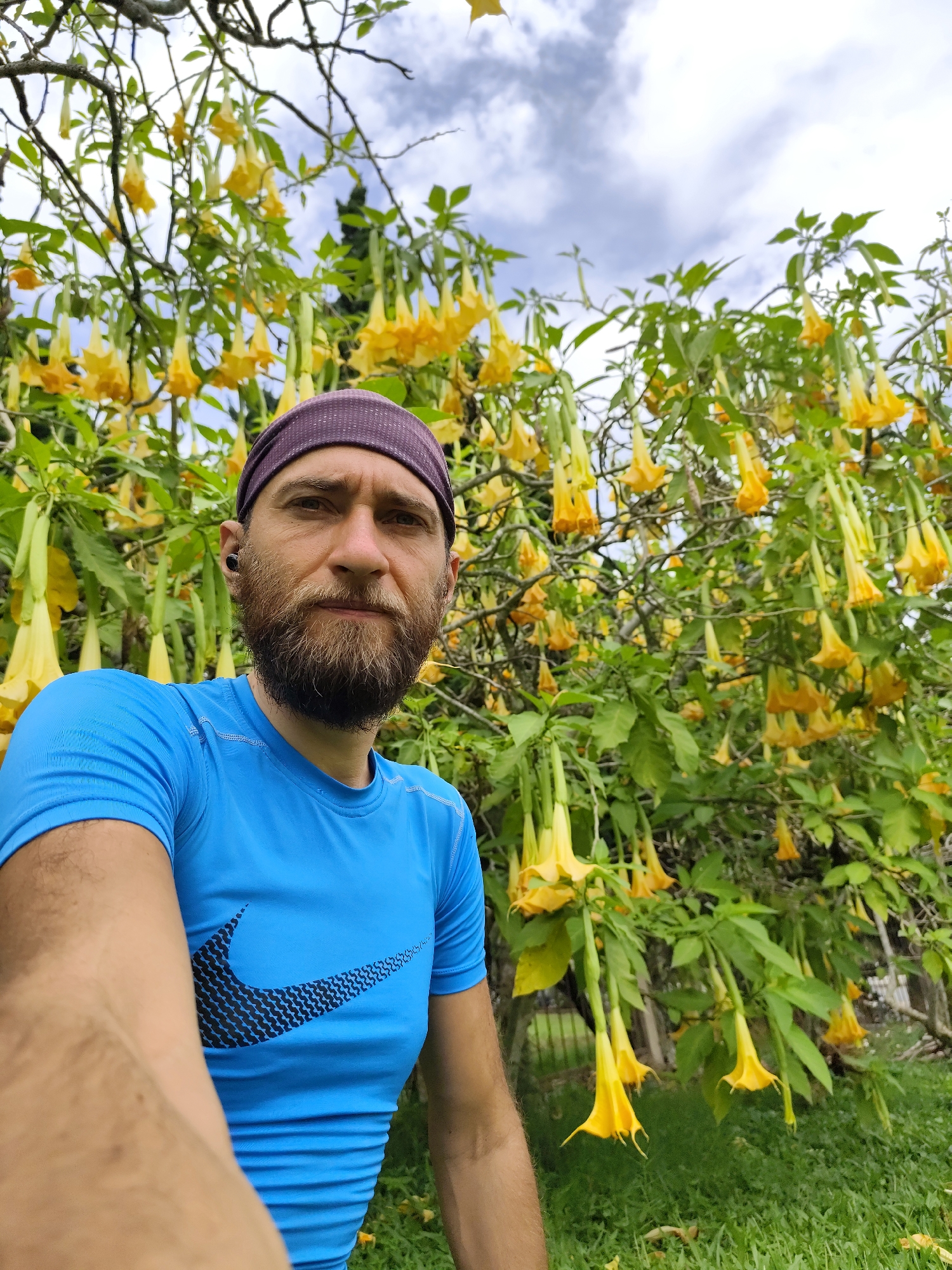 A selfie of a man in Da Lat, Vietnam. The man is wearing a purple headband and a blue Nike shirt. He has a beard and is looking directly at the camera. Behind him is a tree with large, yellow, trumpet-shaped flowers, likely Brugmansia, commonly known as Angel's Trumpets. The sky is visible in the background and appears cloudy. The ground is covered in green grass. The location appears to be in a garden or park.