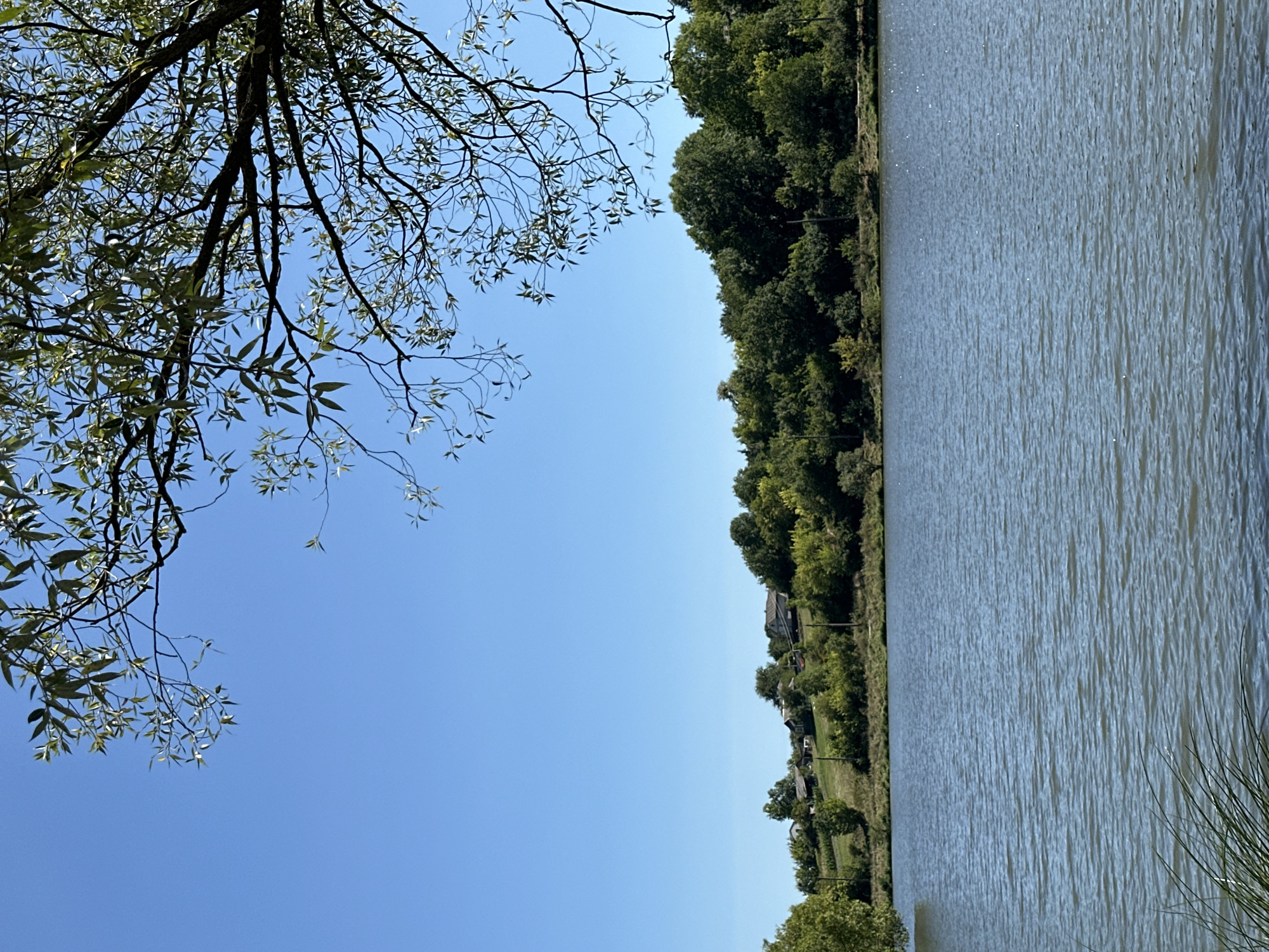 The image depicts a serene landscape scene with a body of water in the foreground, likely a lake or river, with gentle ripples on its surface. In the middle ground, a lush green tree line runs along the opposite bank, with a small cluster of houses visible nestled on a gentle slope behind the trees. The houses appear to be of a traditional, rural style with pitched roofs. The background is a clear, bright blue sky, with the branches of a large tree, its leaves catching the sunlight, extending into the upper right corner of the frame. The overall impression is one of a tranquil, rural setting. Given the information provided that the location is Makiv, Ukraine, this scene likely represents a typical pastoral view in the Ukrainian countryside. No people or animals are visible in the image.