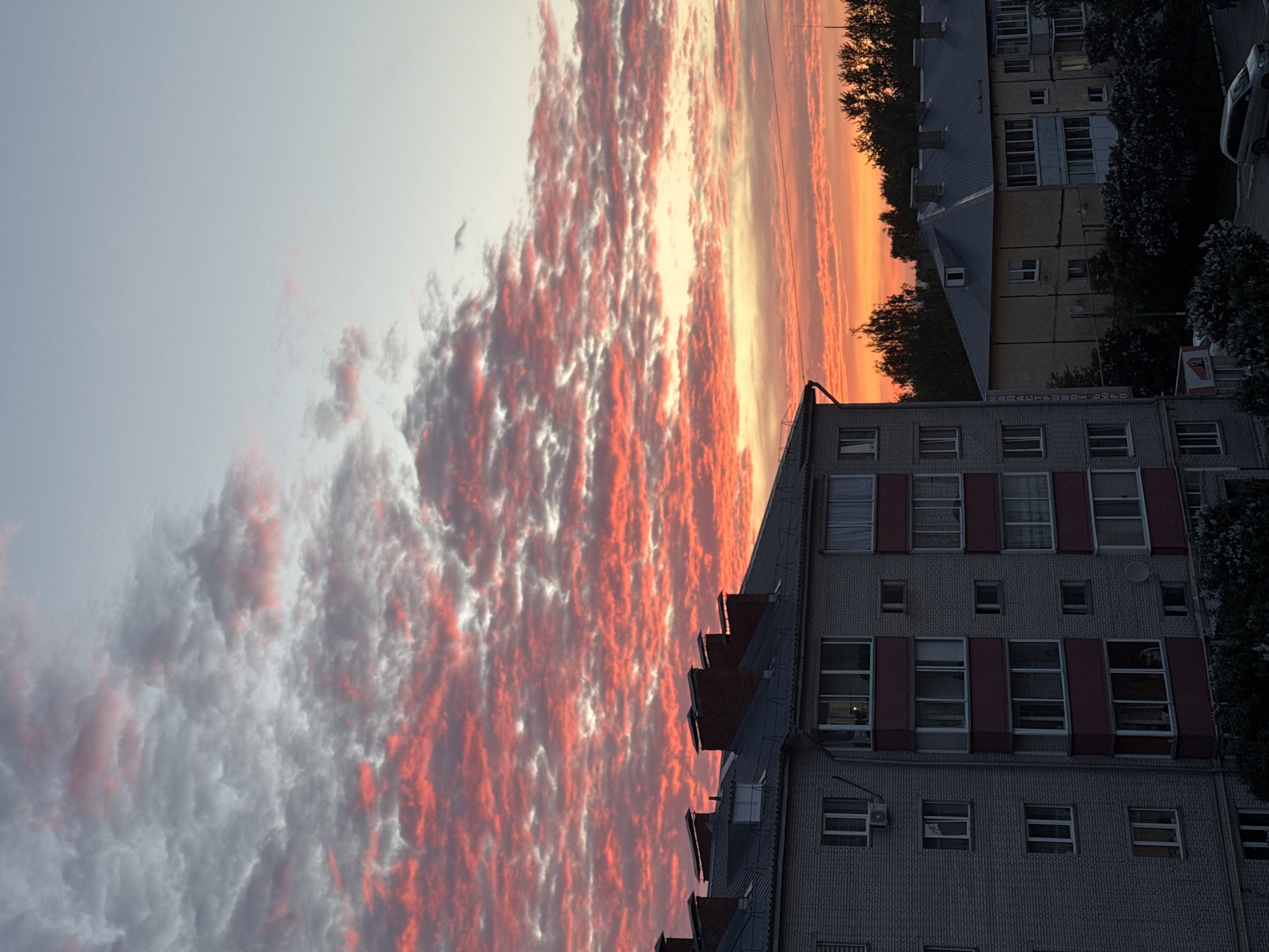 The image shows a sky ablaze with a fiery sunset, painted with streaks of orange, red, and white. The view is from a position looking towards the horizon, with a multi-story building visible in the foreground, its architecture typical of urban areas. Trees line the streets and other buildings of similar design can be seen in the background. The location is Zav'yalovo, Russia.