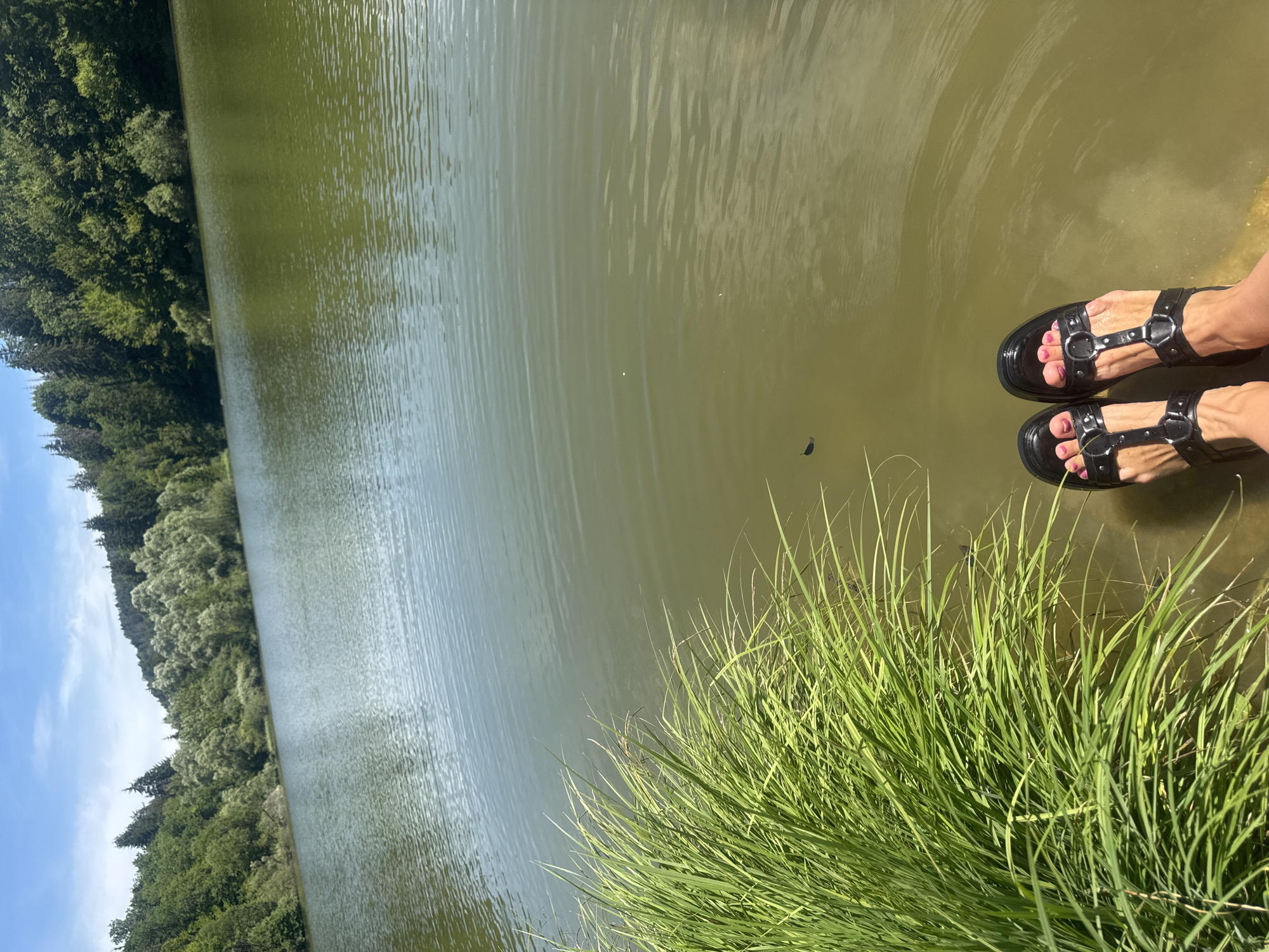 The image shows a person's feet wearing black sandals with buckles, resting near the edge of a body of water. Tall green grass is visible to the left of the feet, obscuring the immediate shoreline. The water is calm with gentle ripples and appears to be a greenish-brown color. In the background, a tree-lined hill slopes down towards the water. The sky above is blue with some scattered white clouds. The scene is set on a sunny day, likely in an outdoor natural environment. The specific location in Coteaux du Lizon, France, cannot be determined from the image alone.