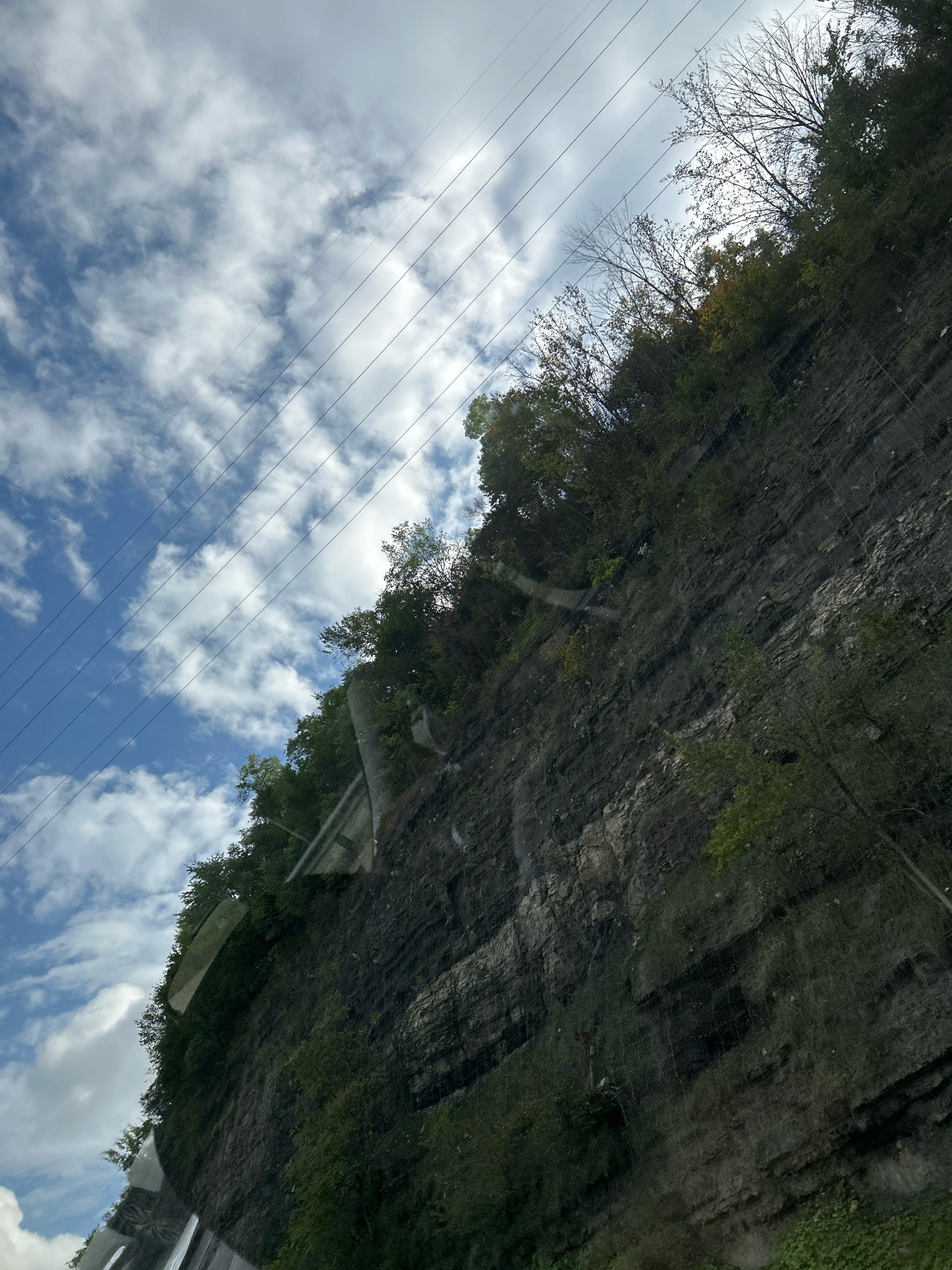 The image, taken from a low angle looking upwards, displays a steep, rocky cliff face covered in dense green foliage and trees. The rock layers are clearly visible, showing a striated texture. A protective netting system is installed on the cliff face, likely to prevent rockfalls. Several power lines stretch diagonally across the upper portion of the image against a cloudy blue sky. The bottom of the image shows a reflection, suggesting the photo was taken from inside a vehicle or through a window. The scene is located in Collier Township, United States of America.
