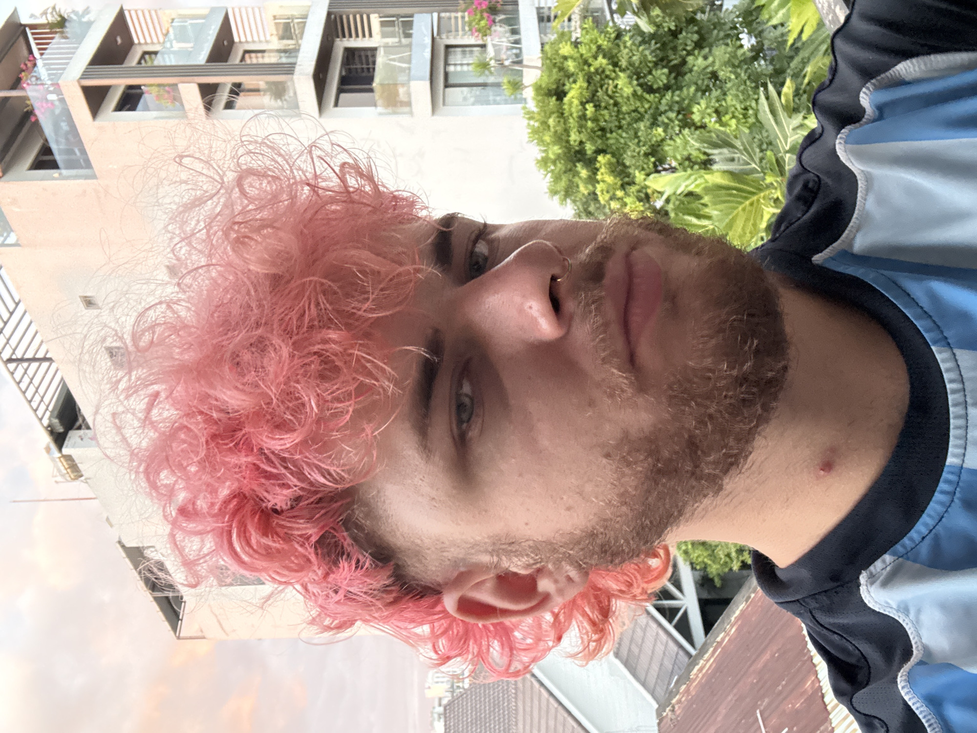 This is an upward-facing portrait, originally rotated 90 degrees, of a young man outdoors in Đà Nẵng, Vietnam. He has distinct, brightly colored curly pink hair and a light brown beard and mustache. A small gold hoop nose ring is visible in his right nostril. His eyes appear light blue or green, and he has a neutral, somewhat pensive expression while looking towards the viewer.
He is wearing a dark blue athletic-style shirt that features light blue and white stripes across the chest and shoulders, over a black base. A small reddish mark or blemish is visible on his neck above the collar.
The background, viewed from a low angle, includes modern multi-story buildings with balconies and glass railings, typical of an urban setting. Lush green trees and foliage are also present, intermingled with the architecture. The sky is bright, suggesting daytime and clear weather conditions. No visible text is present in the image.