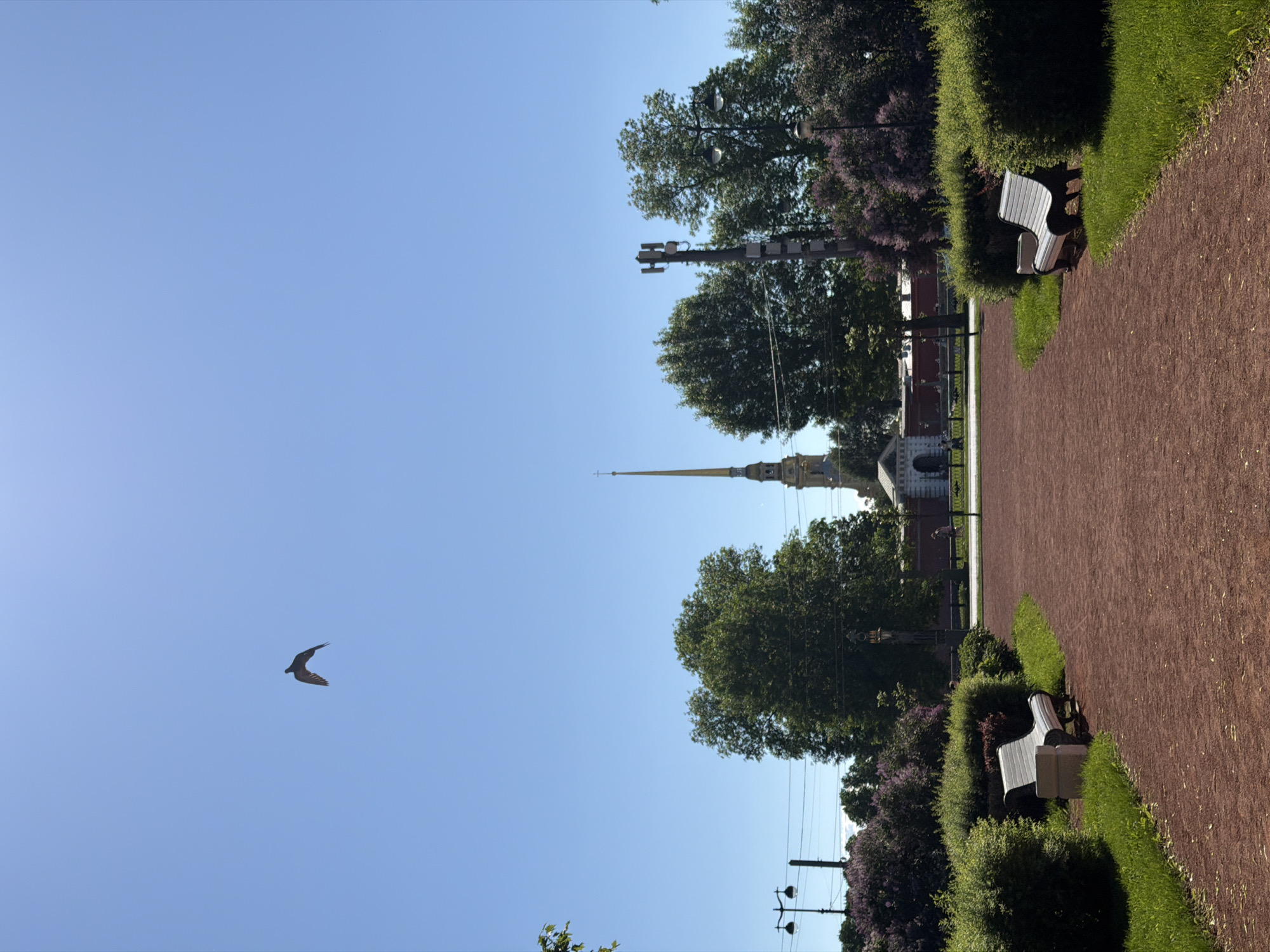 The image captures a clear day in a park setting adjacent to the Peter and Paul Fortress in Saint Petersburg, Russia, identified by the distinctive golden spire of the Peter and Paul Cathedral visible in the mid-background. A wide, reddish-brown gravel path extends from the foreground into the distance, bordered on both sides by manicured green hedges and grass verges.
In the upper-left portion of the clear blue sky, a single dark bird with outstretched wings is in flight. Two light-colored, slatted park benches are positioned on either side of the path, recessed into the hedges. Beyond the hedges and path, a line of mature green trees and some purple-flowering bushes are visible.
Architectural elements of the Peter and Paul Fortress are seen in the background, including the base of the cathedral spire and a stone archway. Several dark lampposts with multiple luminaires are distributed throughout the scene. A tall utility pole with mounted antennae and equipment is positioned on the right side, with overhead power lines traversing the midground. In the far distance, faint, blurry figures of several individuals can be observed walking on a paved area beyond the fortress structures. The scene is brightly lit by direct sunlight, casting some shadows.