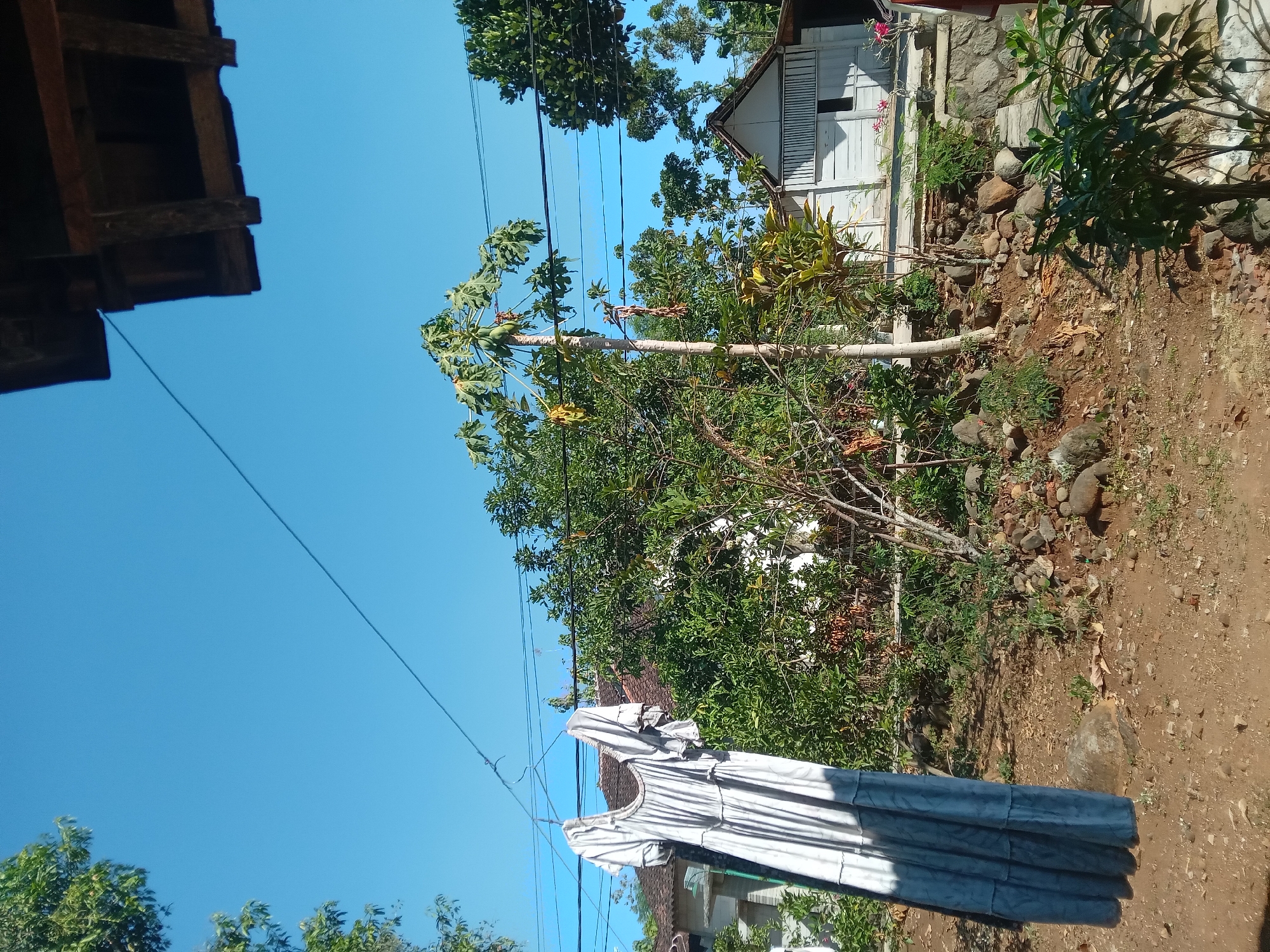 A dress hangs from a clothesline in the foreground of an outdoor scene. The dress is light gray and has a ruffled neckline and sleeves, and a tiered skirt. It is hanging on a wire clothesline with a metal hanger. Behind the dress, there are trees and a small white building with a dark roof. The building appears to be a house or shed. A papaya tree with green fruit is also visible. The ground is covered in dirt and rocks. The sky is clear and blue. The image appears to be taken in a rural area in Indonesia, possibly in the village of Kedunggudel, given the architectural style of the house and the vegetation. The overall impression is one of a simple, outdoor domestic setting in a sunny climate.