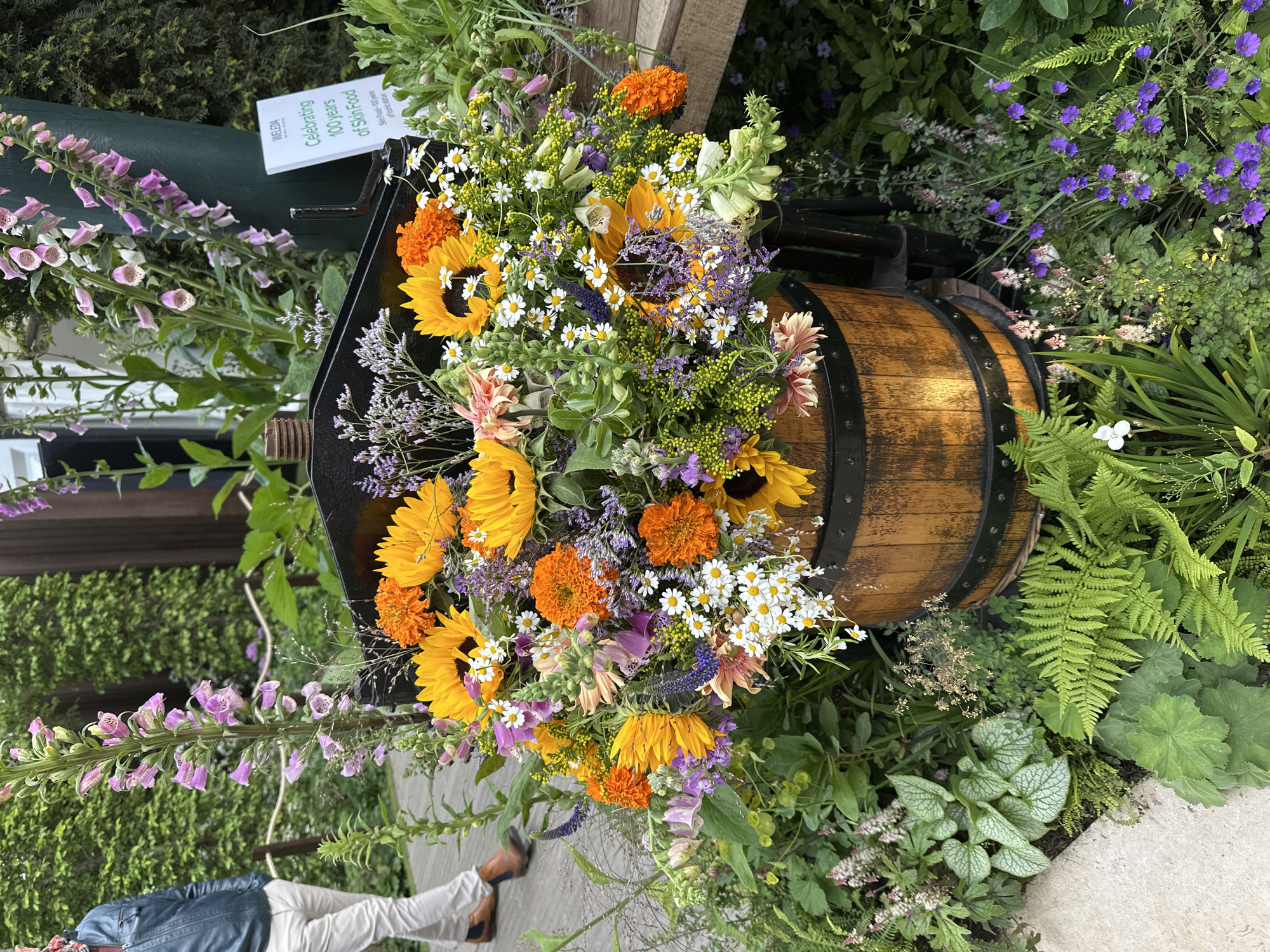 A vibrant floral arrangement bursts from a wooden barrel, situated in a garden setting. The arrangement prominently features sunflowers, white daisies, purple and orange flowers, and green foliage. The barrel itself is banded with dark metal and rests on a black metal structure with a sign that reads "Celebrating 100 years of Skin Food." The garden surrounding the barrel is lush with various plants, including ferns, purple flowers, and ground cover. Part of a person wearing white trousers and tan shoes is visible in the bottom left corner, suggesting they are standing nearby. The scene is captured in daylight, likely in the city of London, United Kingdom, given the British signage and typical garden style.