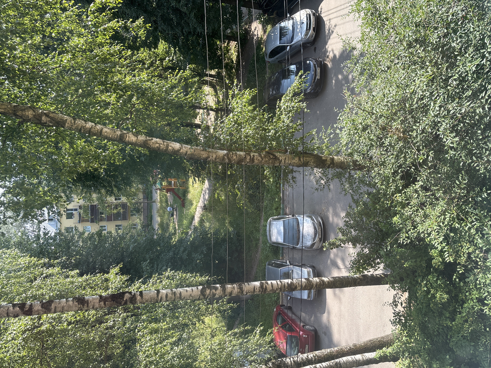 This is an aerial, eye-level, medium shot of a residential courtyard on a sunny day. In the foreground, lush green foliage partially obstructs the view. Two tall, slender birch trees with distinct white and black bark stand prominently in the left and center of the frame. Beyond the trees, a paved area serves as a parking lot with six cars parked in a row. From left to right, the cars are a red sedan, a silver sedan, a silver sedan, a black sedan, a silver sedan, and a black SUV partially visible on the far right. The cars are parked in parallel formation. In the middle ground, a grassy area with some scattered trees leads to a building in the background. The building is a multi-story apartment complex, likely residential, with a light yellow facade. A red and yellow children's playground with a slide is visible on the grass to the left of the building. A single person, appearing to be a child, is present near the playground. Overhead power lines are visible in the upper right quadrant of the image. The scene depicts a typical urban or suburban residential area with parked vehicles, greenery, and a building.