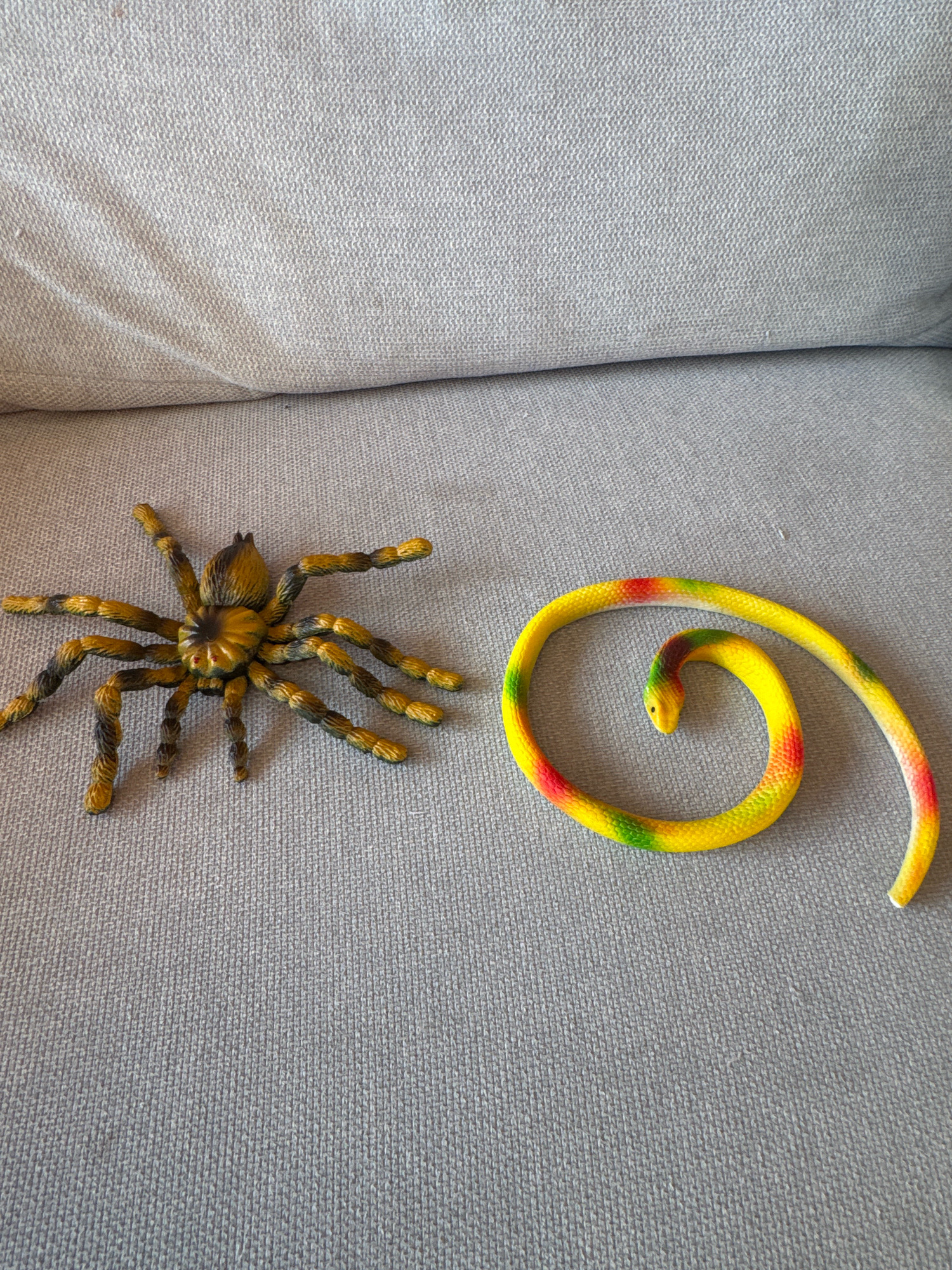A high-angle, full shot captures a realistic toy tarantula and a colorful toy snake resting on a light gray textured surface, likely a couch. The tarantula, positioned on the left, is dark brown and yellow with eight segmented legs spread wide. It has red eyes and a textured abdomen. To its right, the snake is coiled into a spiral. Its body is predominantly yellow, with red and green bands along its length. The snake's head is pointed towards the center of the coil. The lighting is even, and there are no people present in the image. The environment appears to be indoors, possibly a living room. The location in Limassol, Cyprus is not discernable from the image itself.