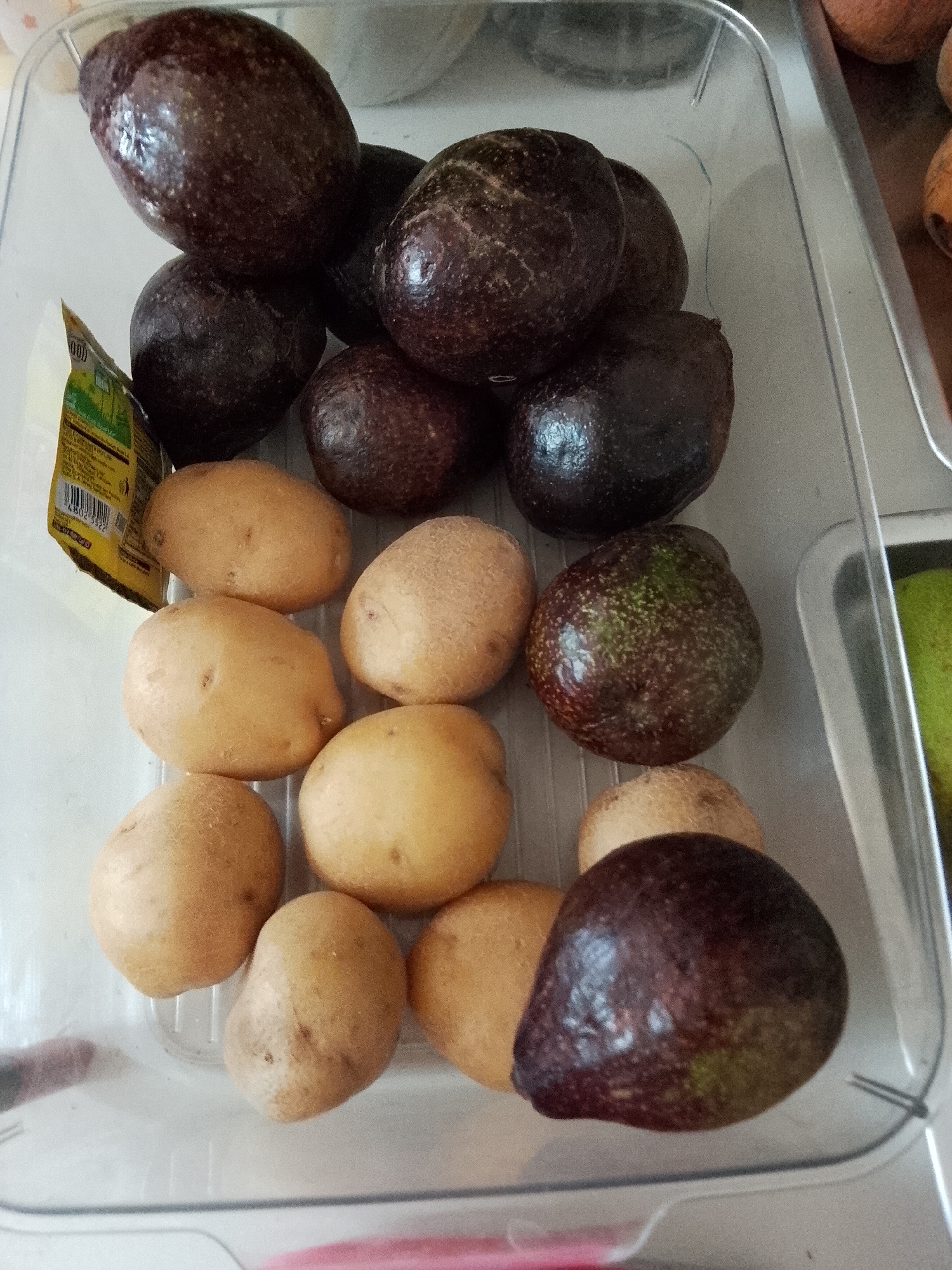 The image displays a clear plastic storage container filled with various produce, likely situated in a domestic kitchen or refrigerator. The container prominently features numerous dark-skinned avocados, some exhibiting patches of green, suggesting different stages of ripeness. Interspersed with the avocados are several light brown, small to medium-sized potatoes.
On the left side of the container, a piece of yellow food packaging is visible, partially obscured by the produce. The word "FOOD" can be distinctly seen on this packaging, along with a barcode below it, showing the initial digits "4800 2522". To the right, a section of a metal tray or container is visible, holding a bright green item, possibly another fruit or vegetable. The scene depicts an arrangement of fresh produce ready for storage or consumption.