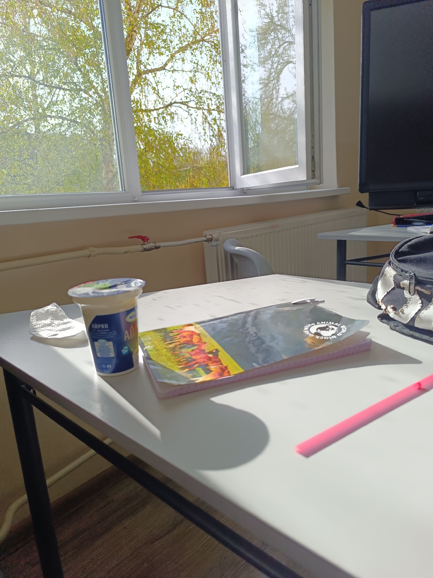 A daytime scene inside a room with a window showing trees outside. The location is in Pleven, Bulgaria, as evidenced by the "Airyan" yogurt container, a popular brand in Bulgaria. On a white table are a container of yogurt, a used tissue, a notebook featuring a collage of animal photos, and a pink marker. A worn backpack is visible on the right edge of the table. The room appears to be a classroom or office, with a radiator beneath the window and another desk with a computer monitor visible in the background. No people are visible in the image. The light suggests a sunny day.