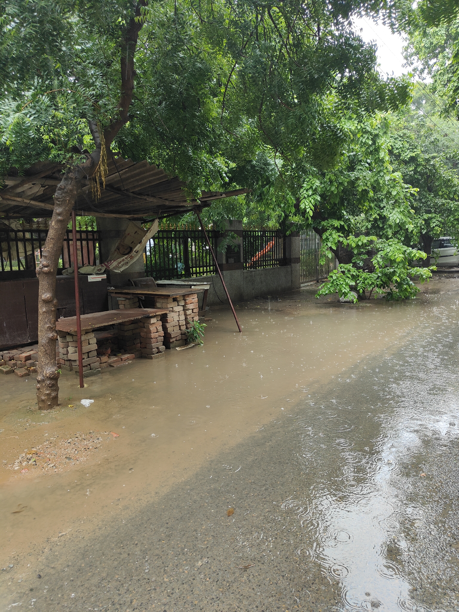 The image depicts a flooded street in Gurgaon, India, during what appears to be monsoon season. The scene is dominated by a large body of muddy water covering the road and encroaching on the adjacent area. Trees with lush green foliage overhang the scene, their branches laden with leaves, suggesting a humid climate. The water level is high enough to submerge the lower parts of brick structures and a makeshift stall, which has a corrugated metal roof supported by wooden and metal poles. The stall contains various items, including what looks like tables constructed from bricks and possibly some sacks hanging from the roof. A tree trunk with a rough texture stands prominently near the stall. The road surface is visible in places, with ripples on the water indicating ongoing rainfall. The overall atmosphere is one of a downpour impacting urban infrastructure.