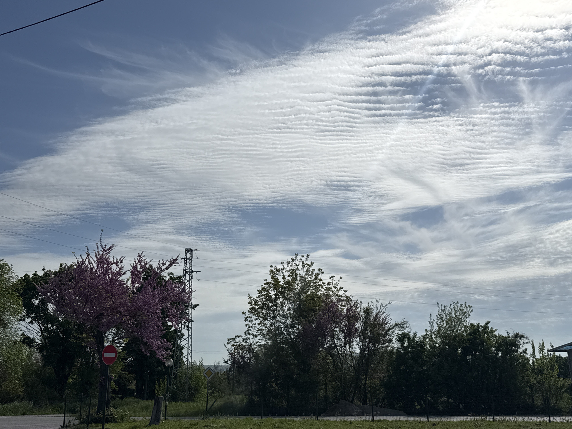 The image depicts a landscape in Belogradets, Bulgaria. The sky is predominantly covered with altocumulus clouds, displaying a distinct rippled pattern. Below the sky, a row of trees and bushes is visible, varying in color and density. A tree with distinctive pink blossoms stands out on the left side of the frame, positioned behind a road sign that features a horizontal white stripe inside a red circle. An electrical transmission tower is seen adjacent to the pink-blossomed tree. Further to the right, the foliage transitions to varying shades of green, with glimpses of other trees and shrubs. A section of green grass runs across the bottom of the image. The overall scene suggests a rural or suburban environment on a bright, overcast day.