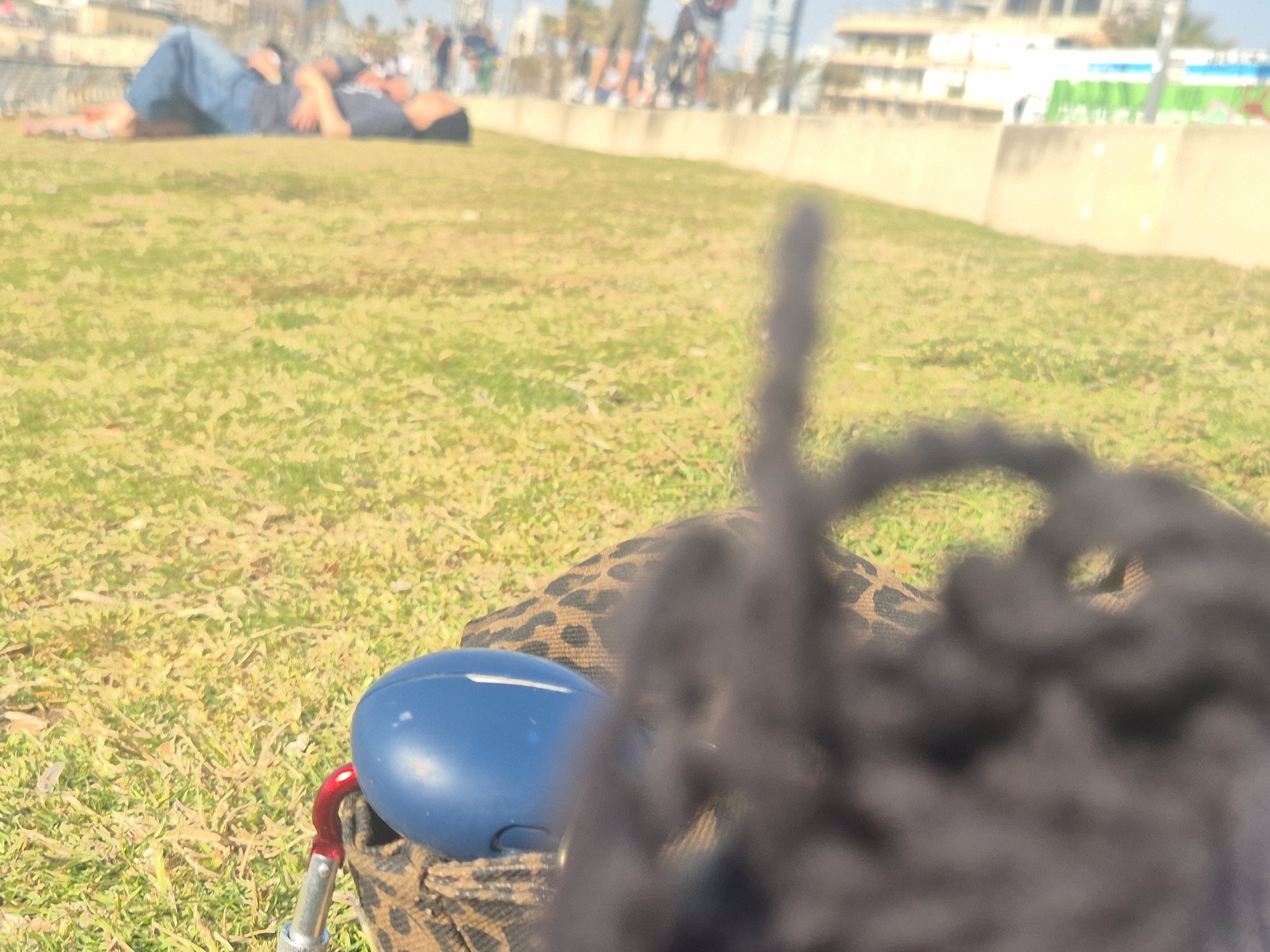 The image shows a grassy area in an urban location, with people lying down in the background. In the foreground, there is a blue object, possibly a helmet, attached with a carabiner to a bag with a leopard-print pattern. The scene appears to be outdoors, with buildings and other people visible in the distance. The city is unknown, as requested.