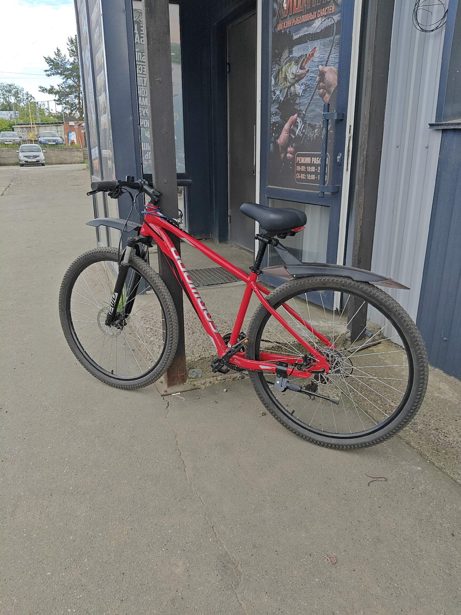 A red bicycle is parked outside a building, leaning against a metal pole. The bicycle has a black seat, black handlebars, and black fenders. The front tire is turned to the left. In the background, there is a sign on the building with an image of a fish and text in Russian. The building appears to be a store. A concrete sidewalk is in the foreground, and there is a paved road and some parked cars in the distance. The sky is overcast. The location is Chaikovsky, Russia.