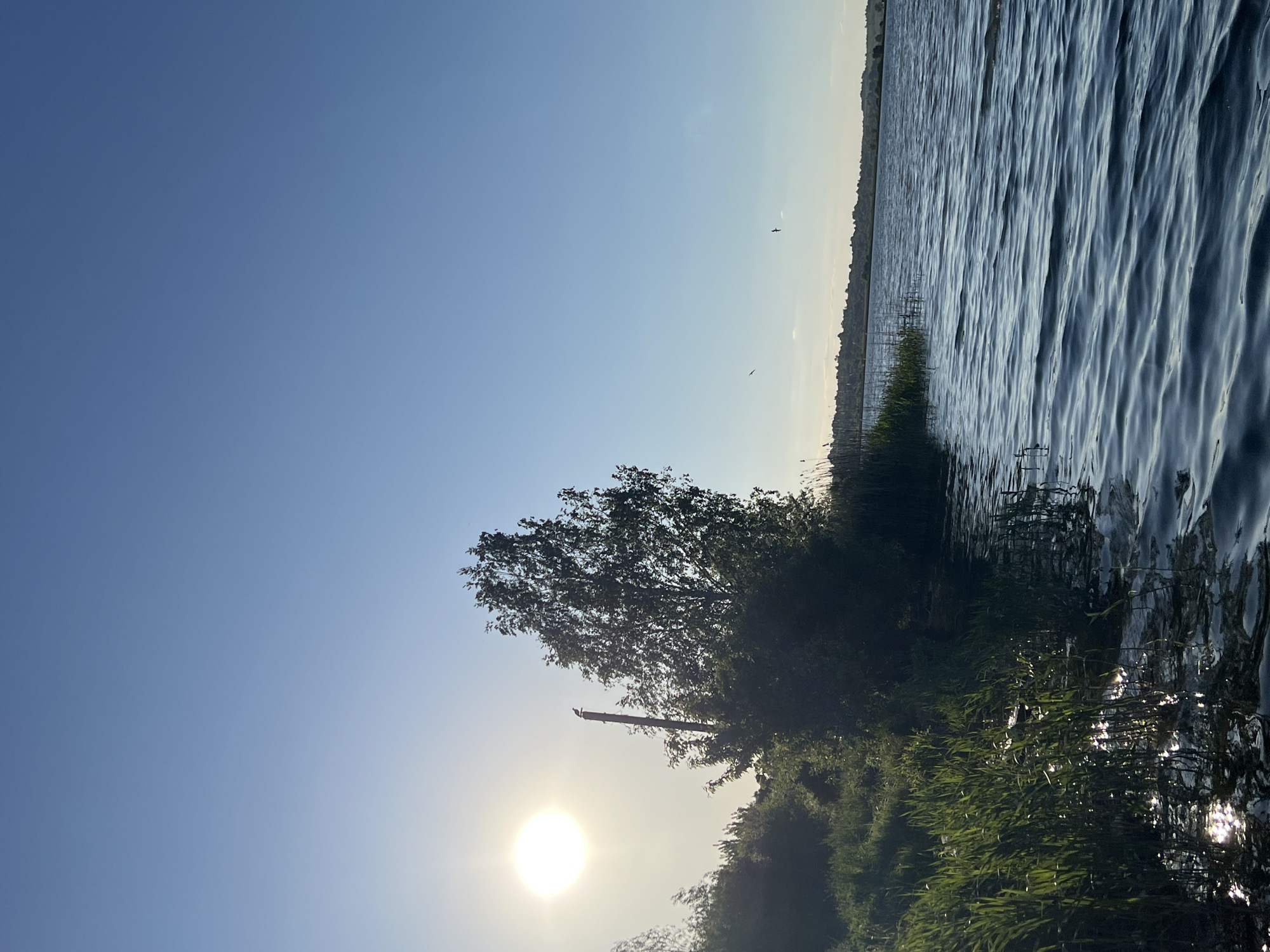 The image depicts a lakeside scene in Reniv, Ukraine, likely near a body of water such as a river or lake. The sun is low in the sky, possibly indicating sunrise or sunset. Vegetation, including trees and tall grass, lines the water's edge. Ripples are visible on the water surface. Two birds are visible in the sky.