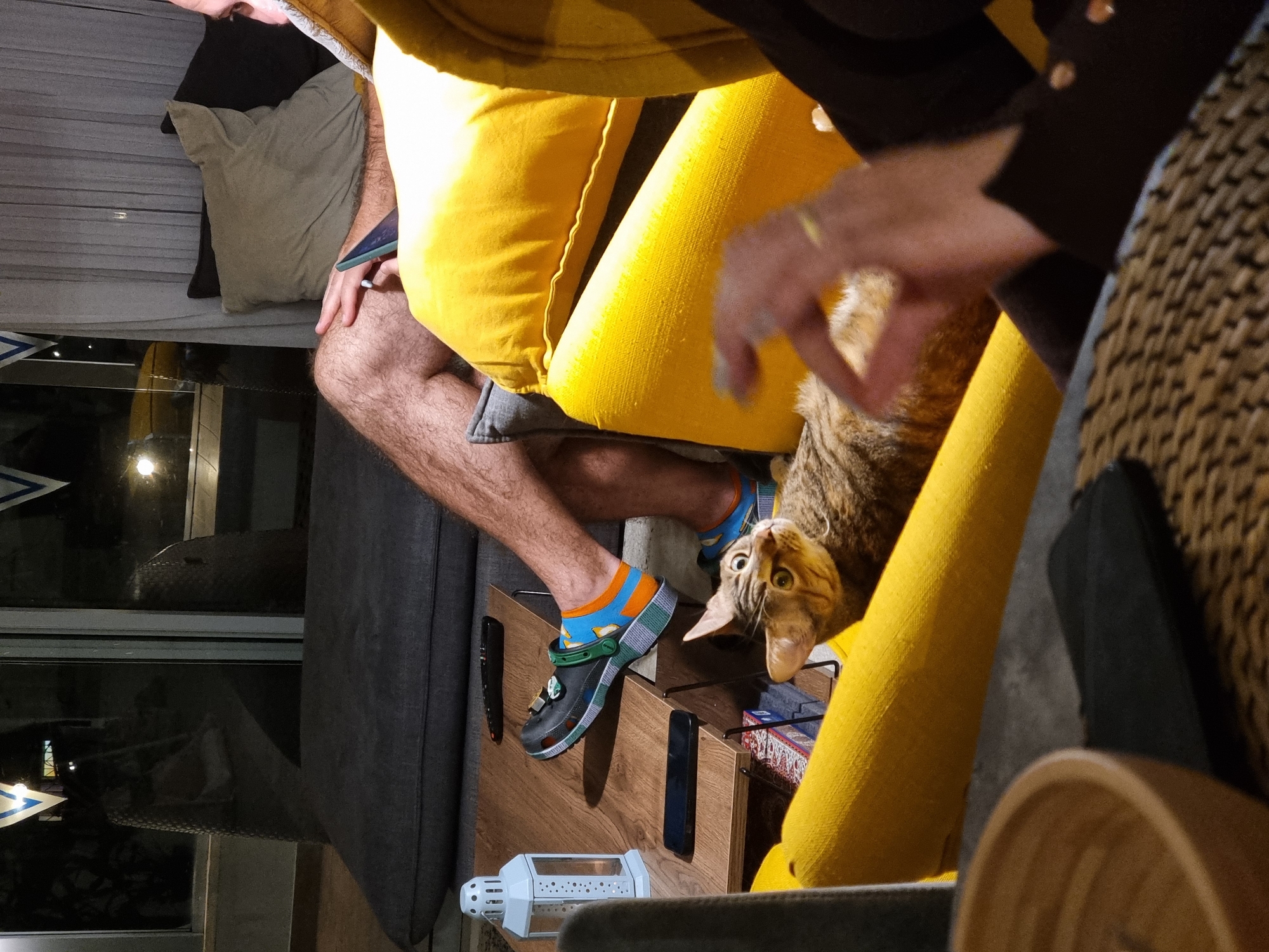 The photograph depicts an interior scene, likely within a residential setting in Ramat Gan, Israel. An individual is seated, visible from the thigh down, with a yellow cushion on their lap. The person is wearing an orange and blue sock with a black Croc shoe. A tabby cat is positioned between the person's legs and a yellow cushion, looking upwards with wide eyes. The cat appears to be interacting with the person's hand, which is reaching towards it. A small wooden bedside table is beside the person, containing a white decorative lantern, remote controls, and another electronic device. A grey sofa and a window are visible in the background. The window offers a glimpse into the exterior, where building lights are visible.